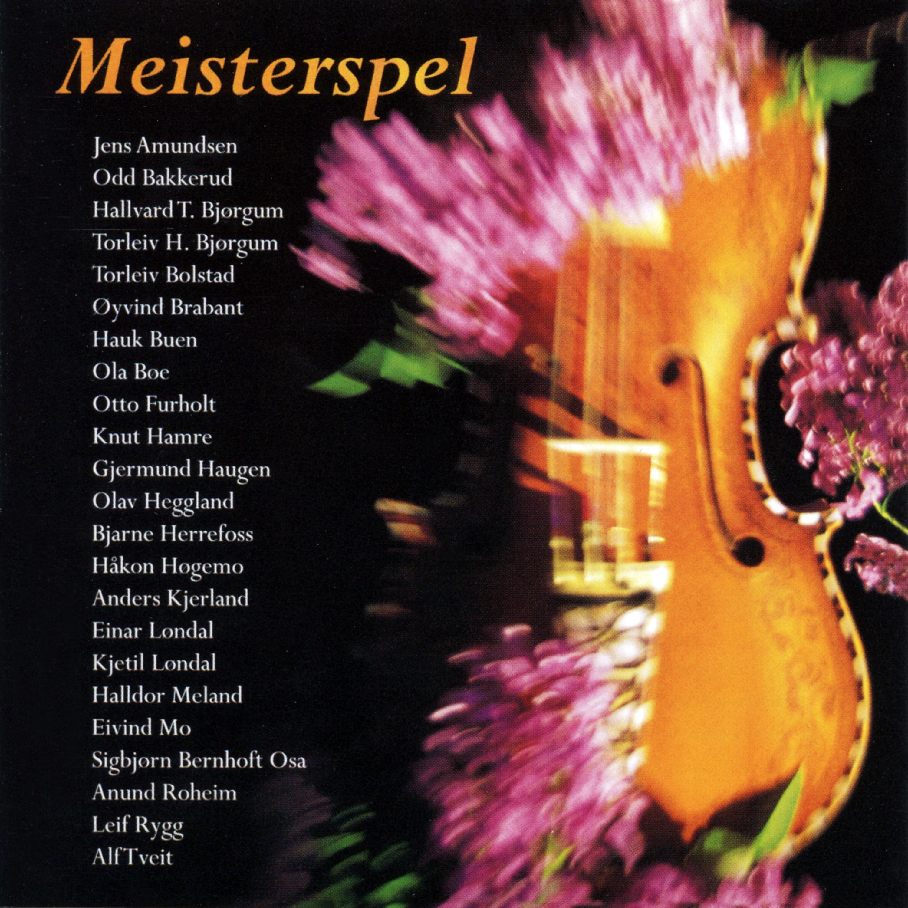 Постер альбома Meisterspel