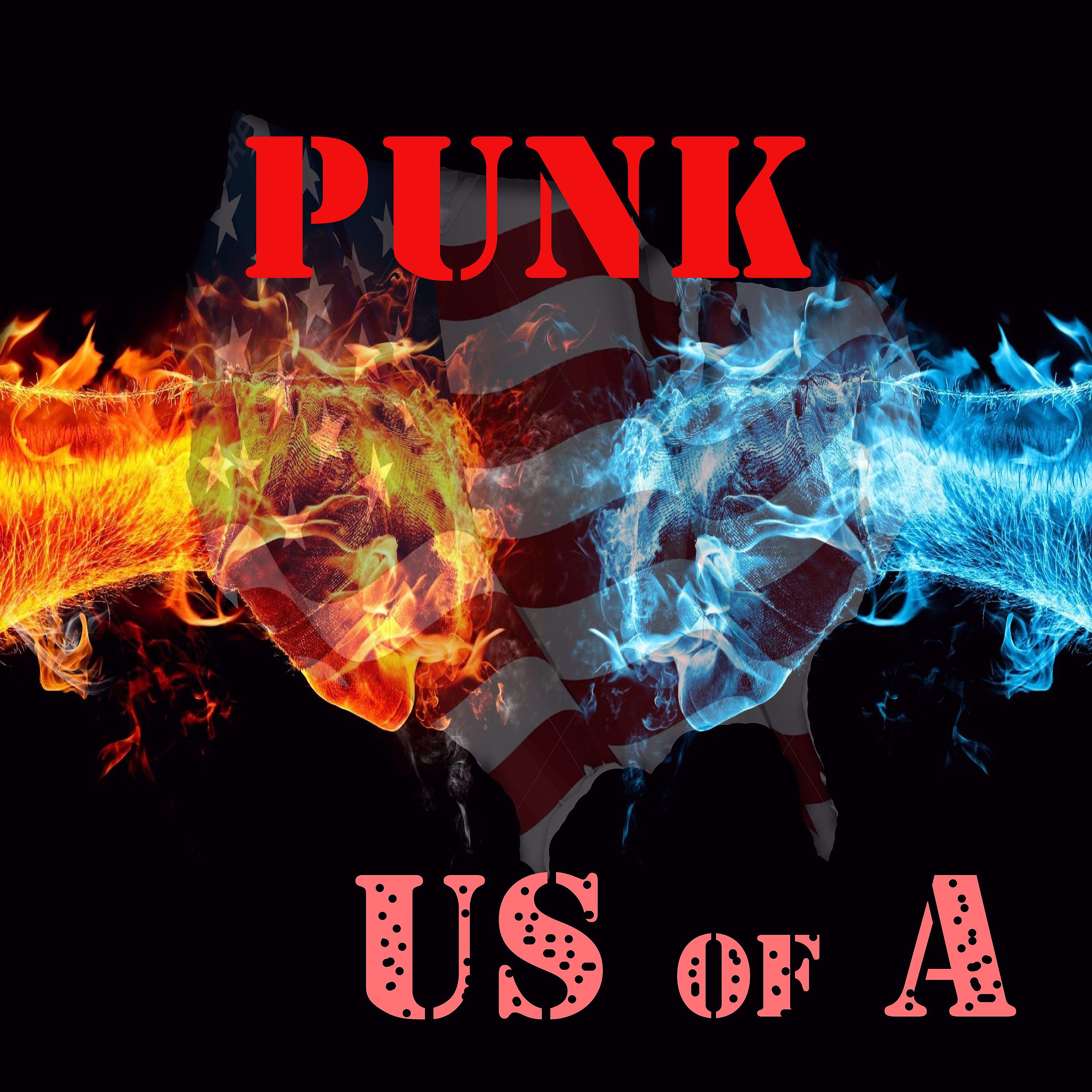 Постер альбома Punk Us of A