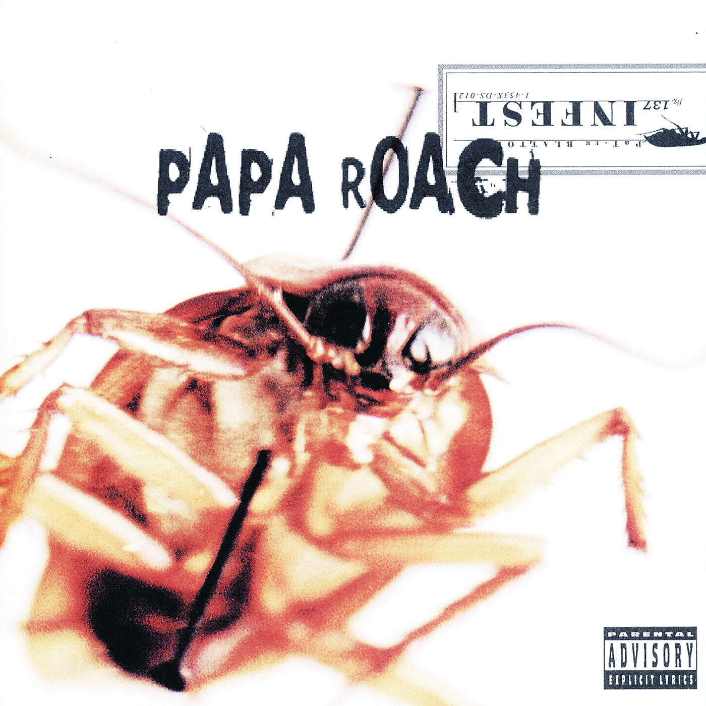 Альбом Infest - Papa Roach - Слушать Все Треки Онлайн На Zvuk.Com