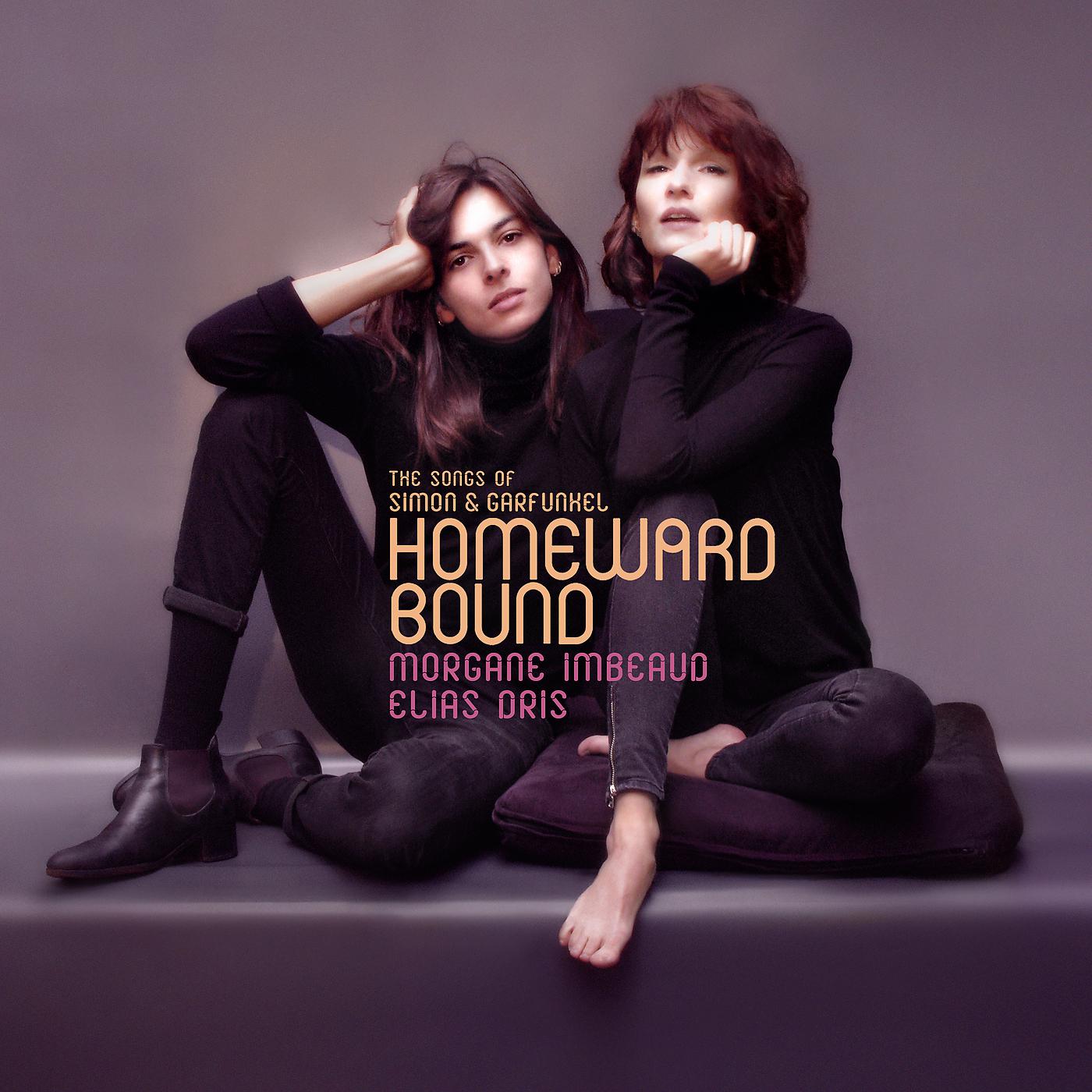 Постер альбома Homeward Bound: Songs Of Simon & Garfunkel