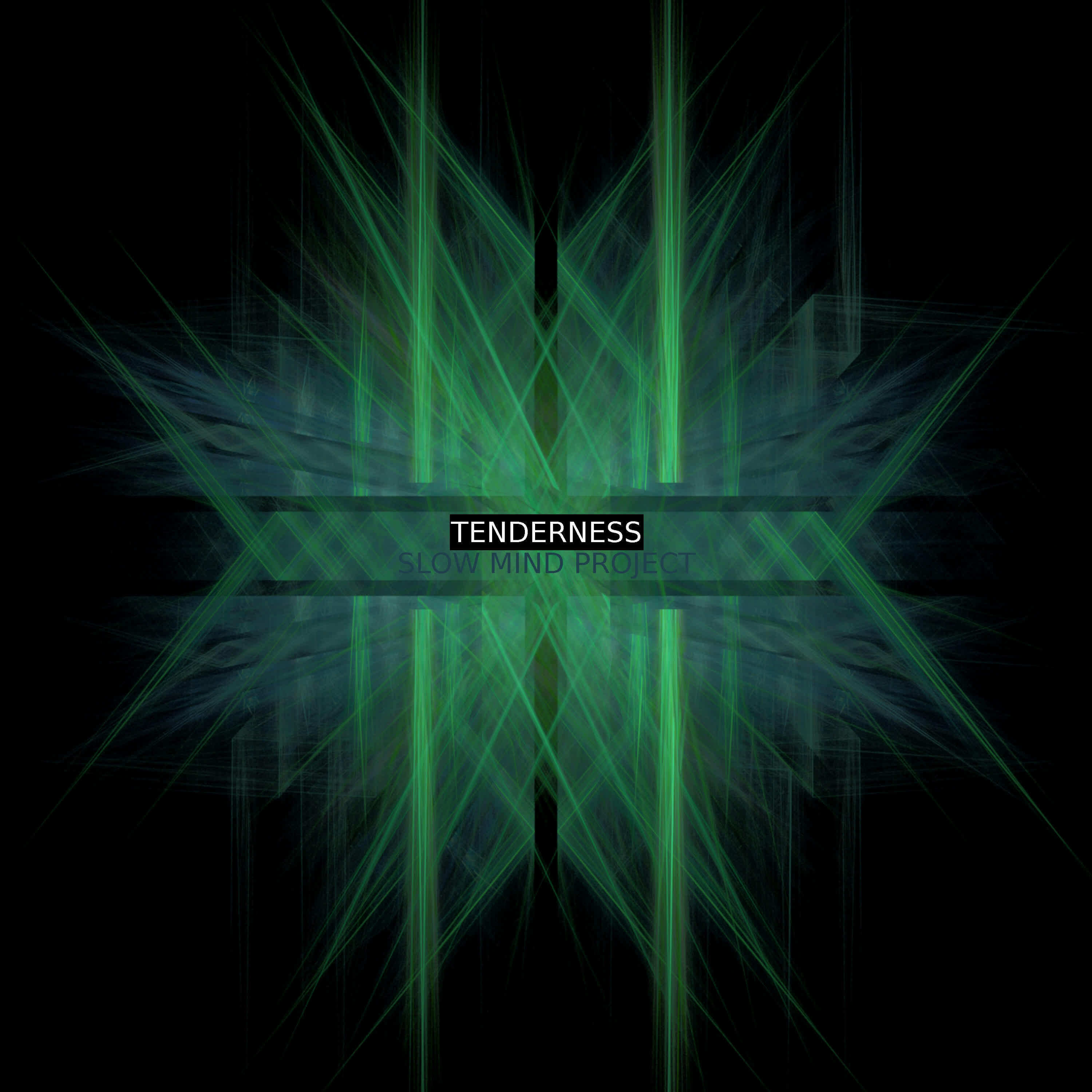 Slow Mind Project - Tenderness X