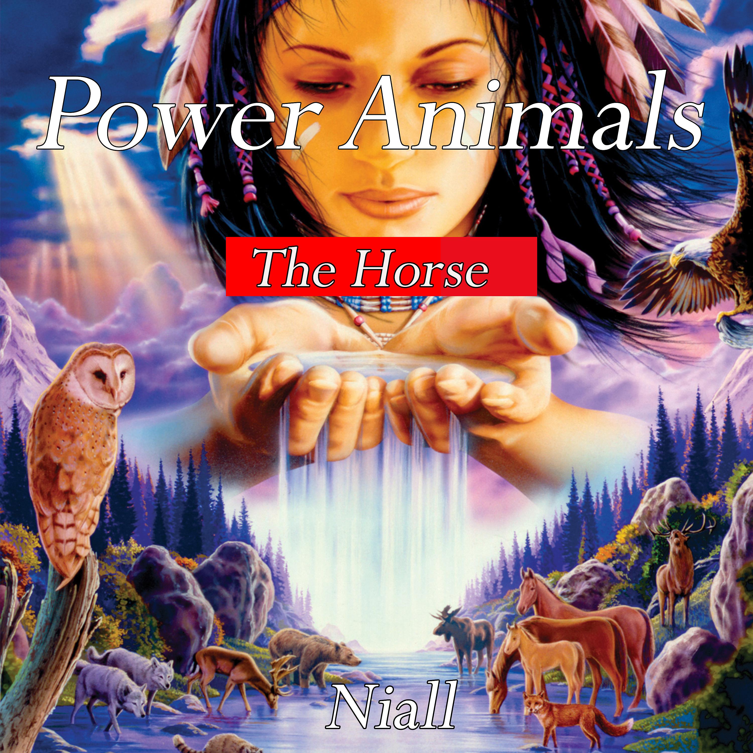 Постер альбома Power Animals - The Horse