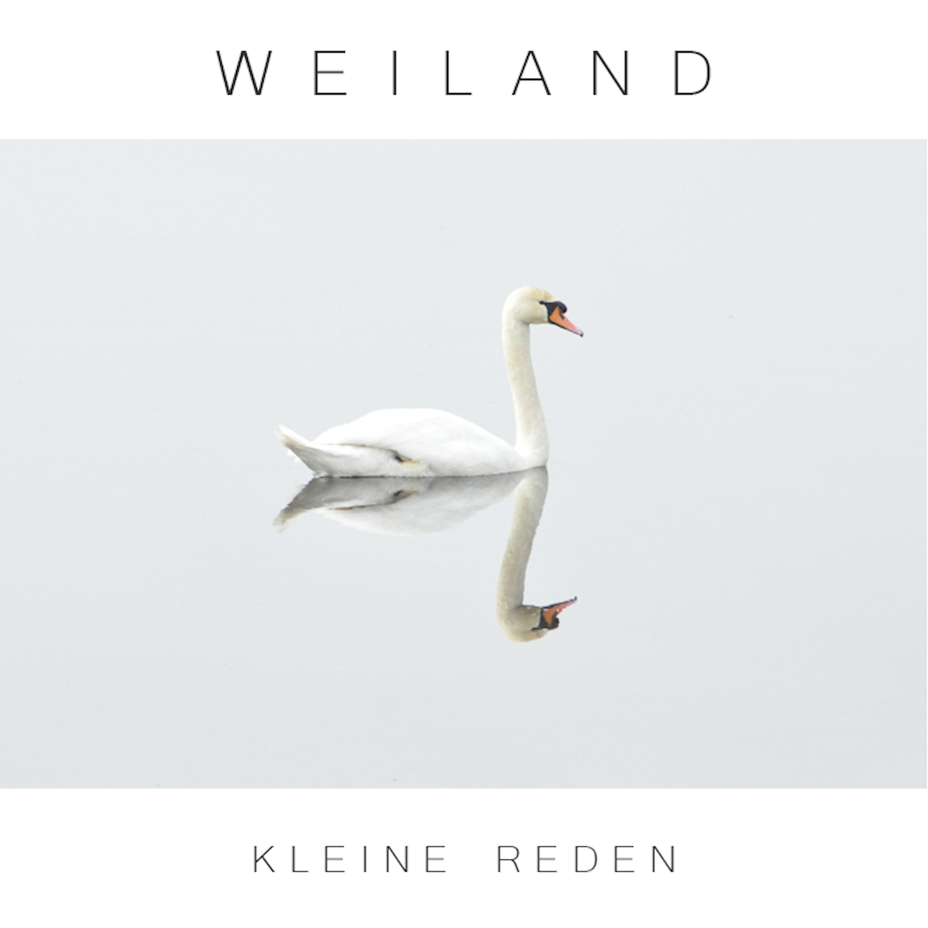 Постер альбома Kleine Reden