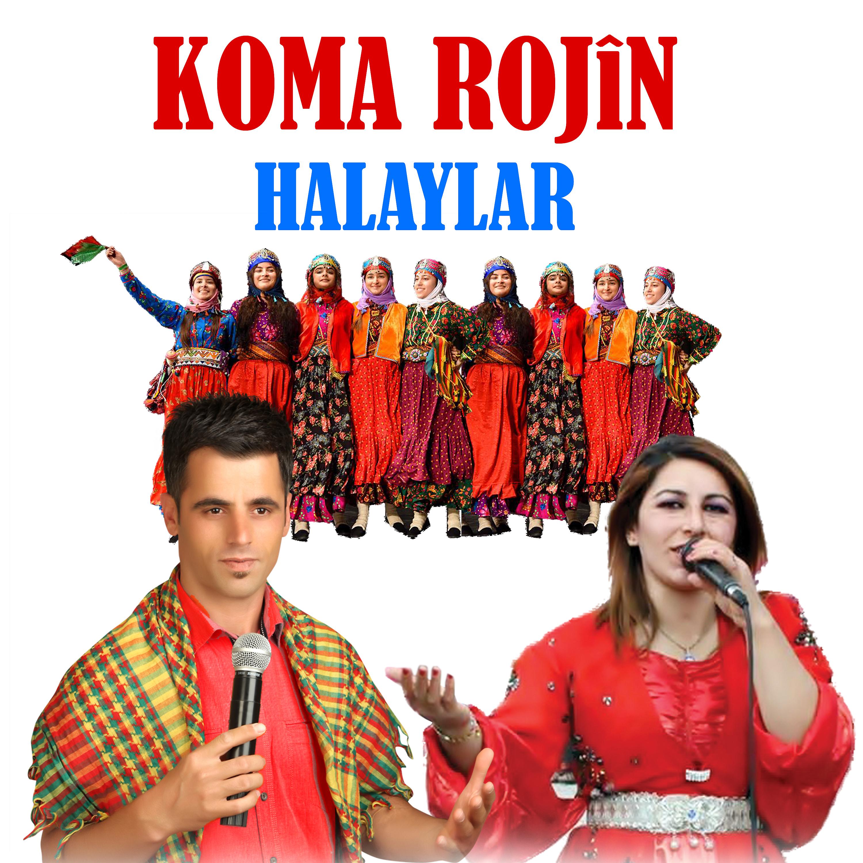 Постер альбома Halaylar
