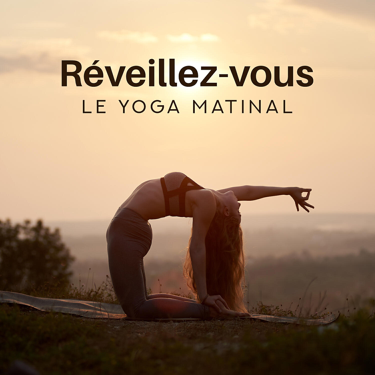 Club de Méditer de Détendre - L' ayurveda