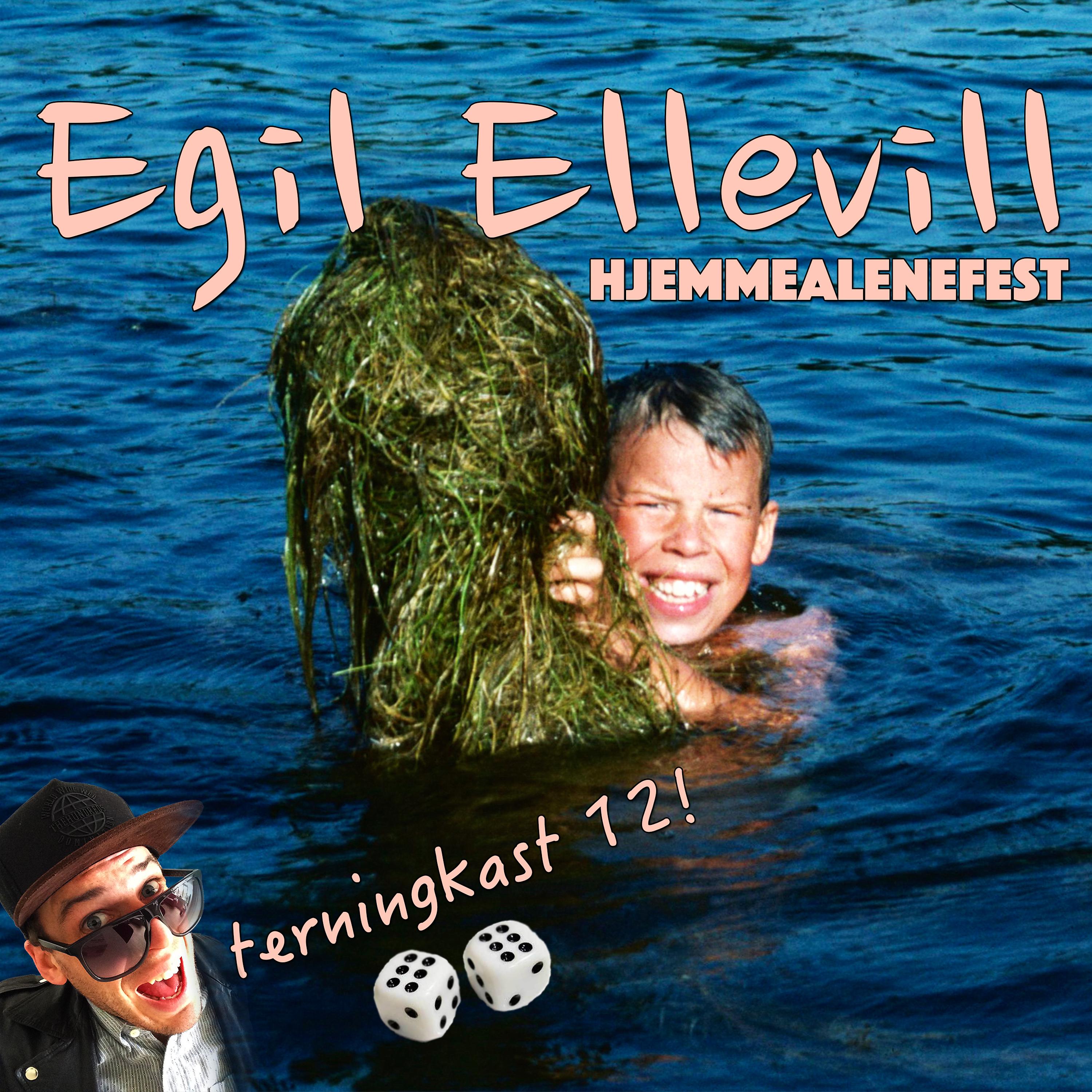 Постер альбома Hjemmealenefest