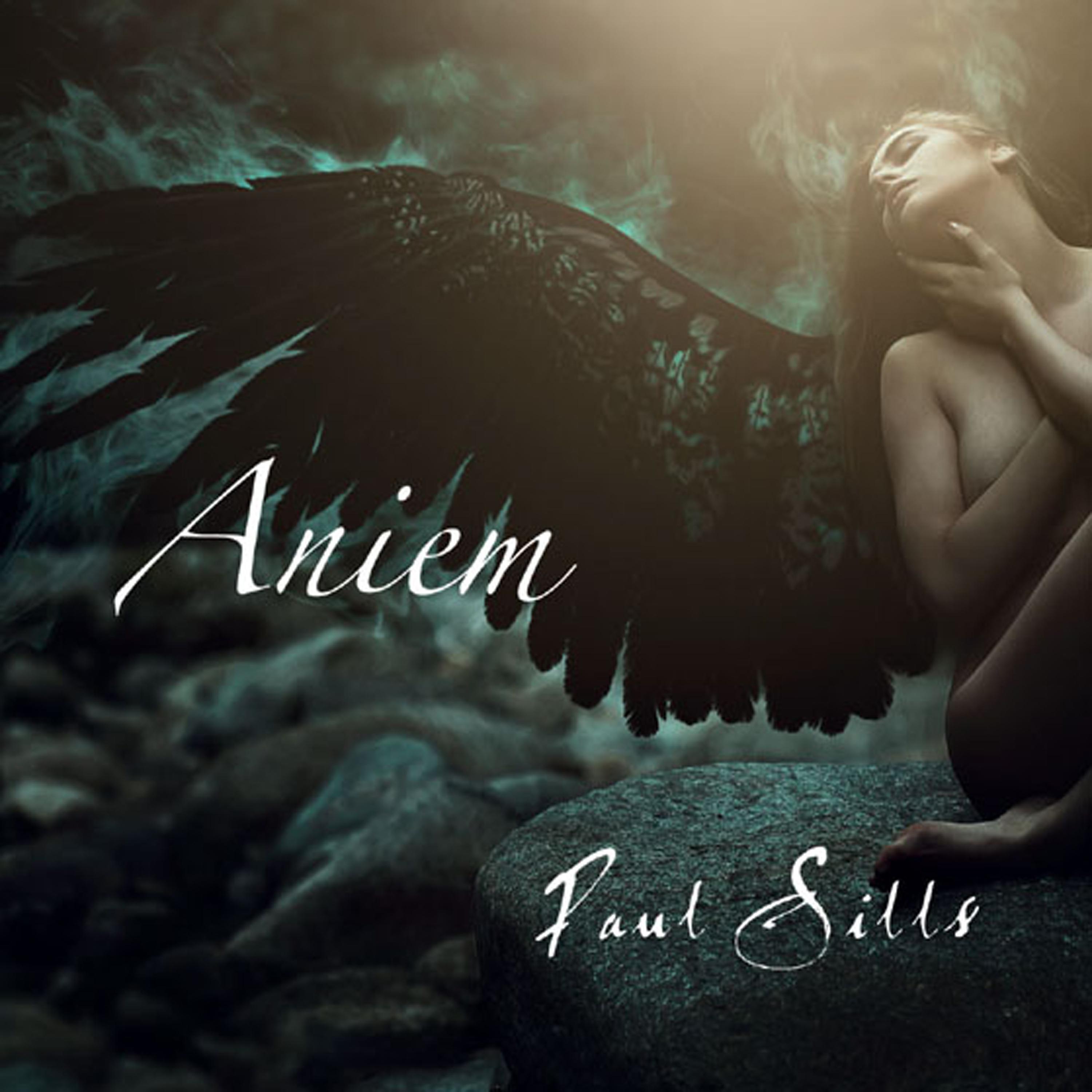 Постер альбома Aniem