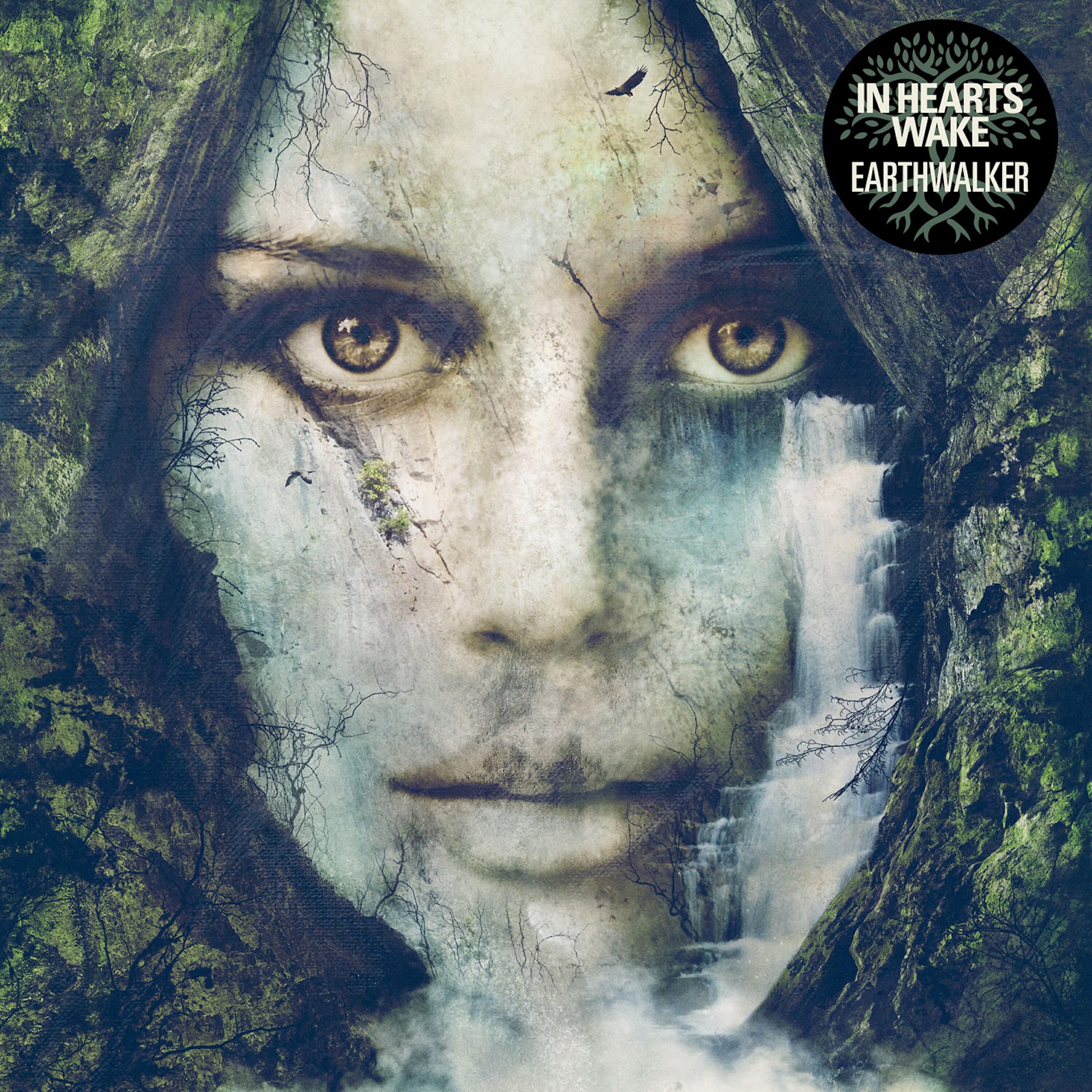 In Hearts Wake - Truenorth