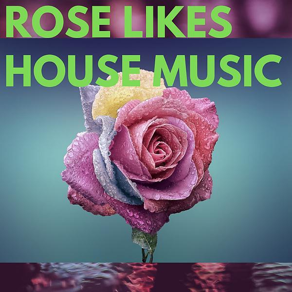 Постер альбома Rose Likes House Music
