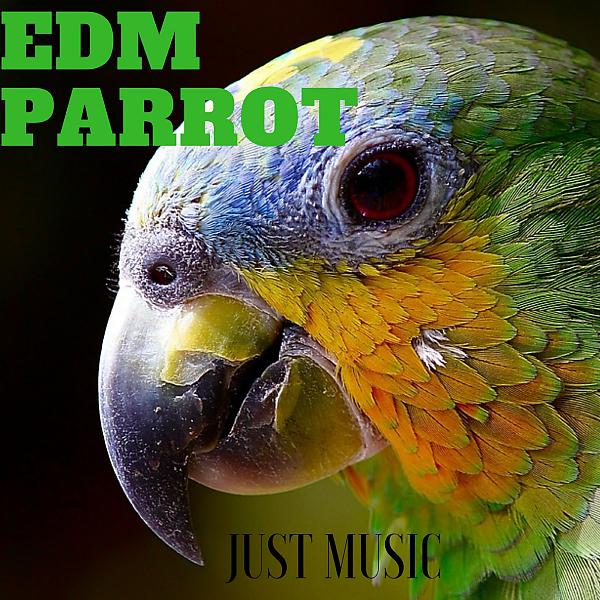 Постер альбома Edm Parrot Just Music