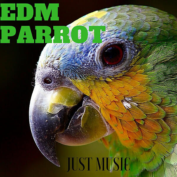 DIGILIO EDM - Huli