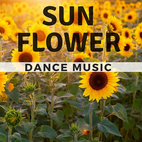 Постер альбома Sun Flower Dance Music