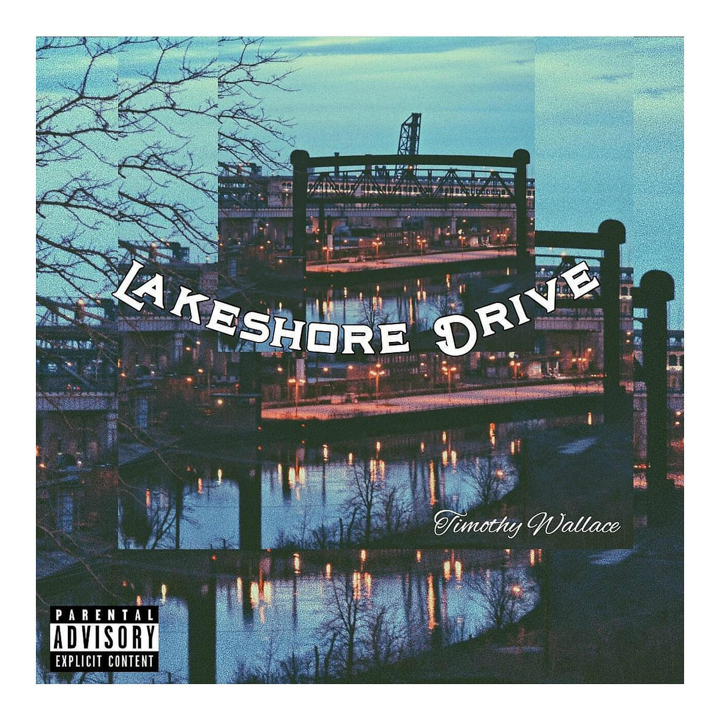 Timothy Waallace - LakeShore Drive