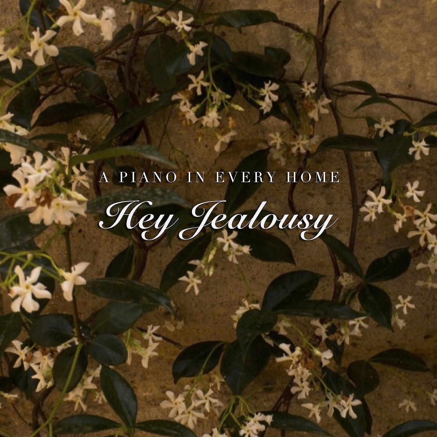 A Piano In Every Home - Hey Jealousy