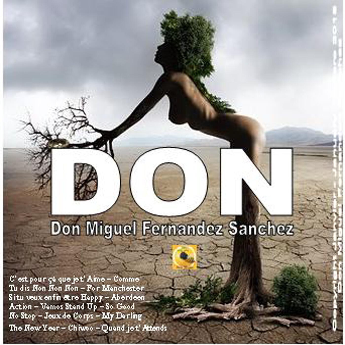 Don Miguel Fernandez Sanchez - C'est Pour çà Que Je T'aime (Version instrumentale)