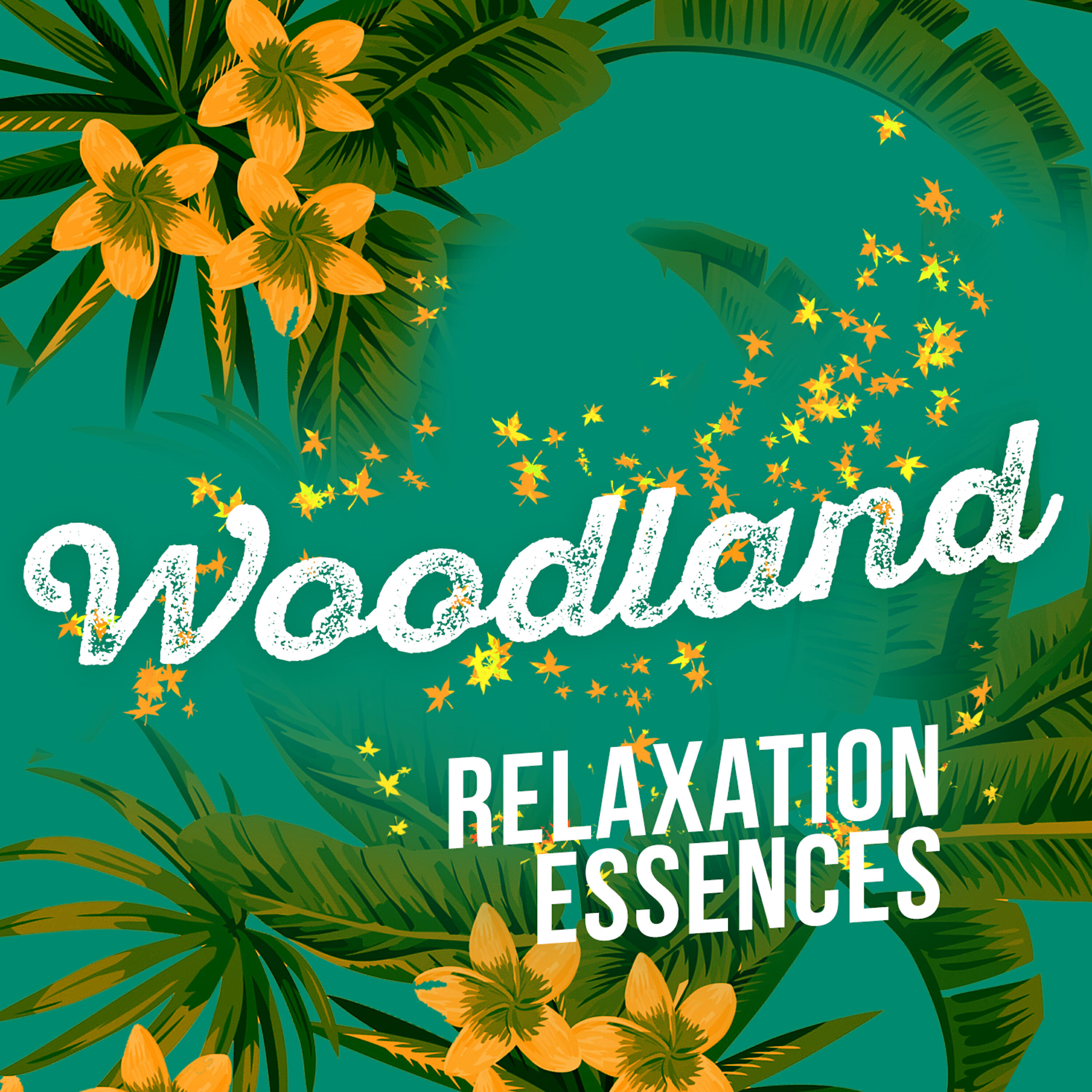 Forest Sounds Relaxing Spa Music Singing Birds - Wood Stream