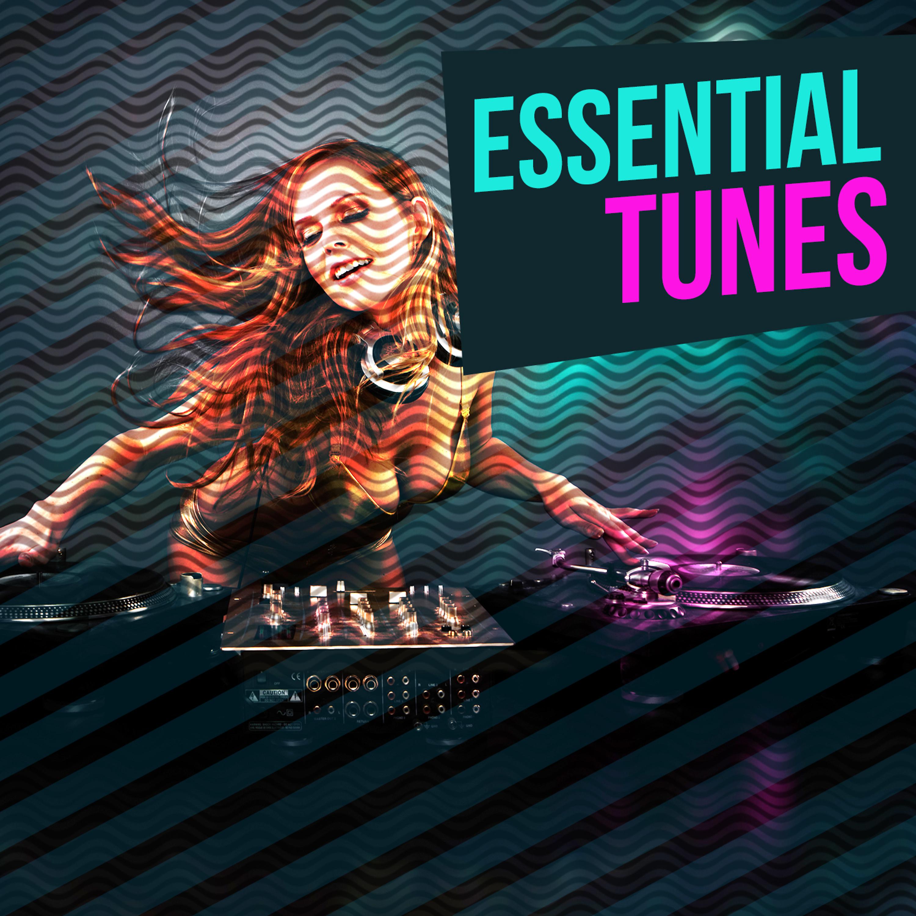 Постер альбома Essential Tunes