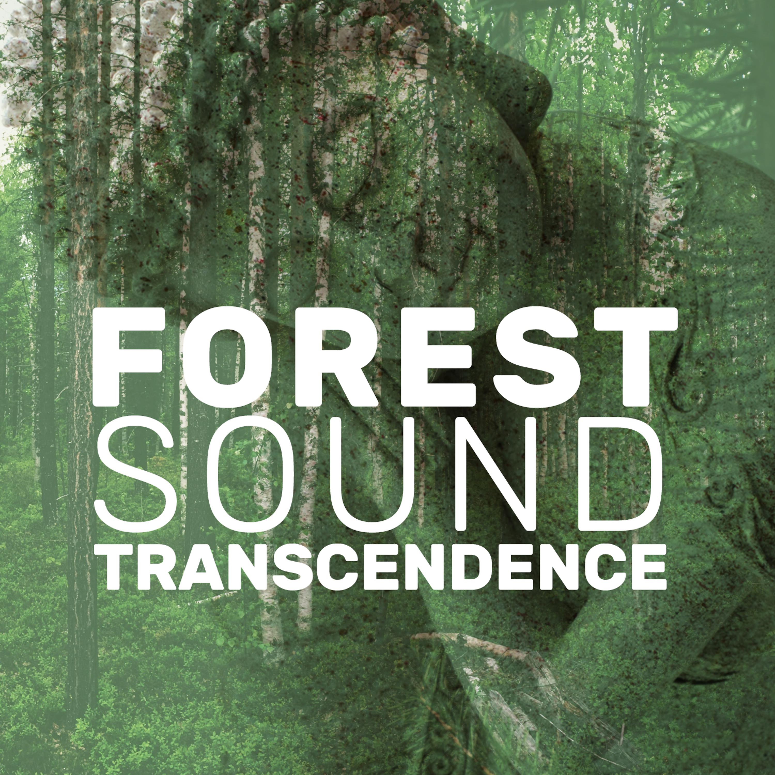 Постер альбома Forest Sound Transcendence