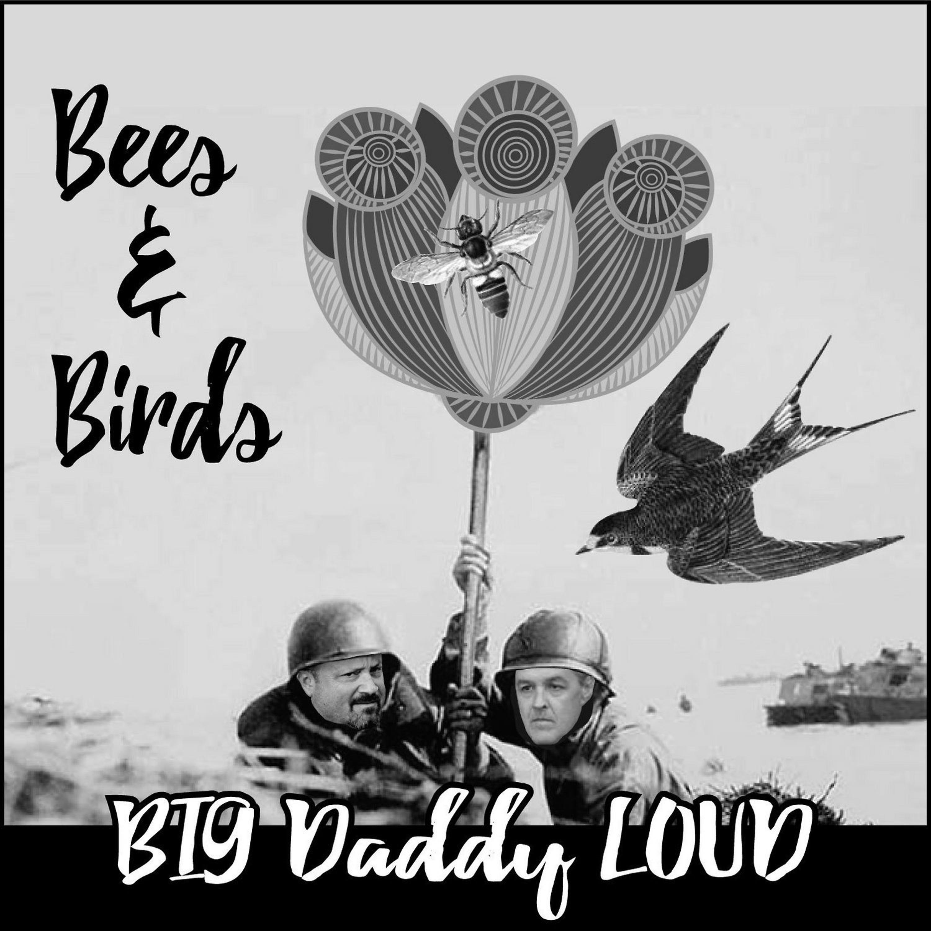 Постер альбома Bees and Birds