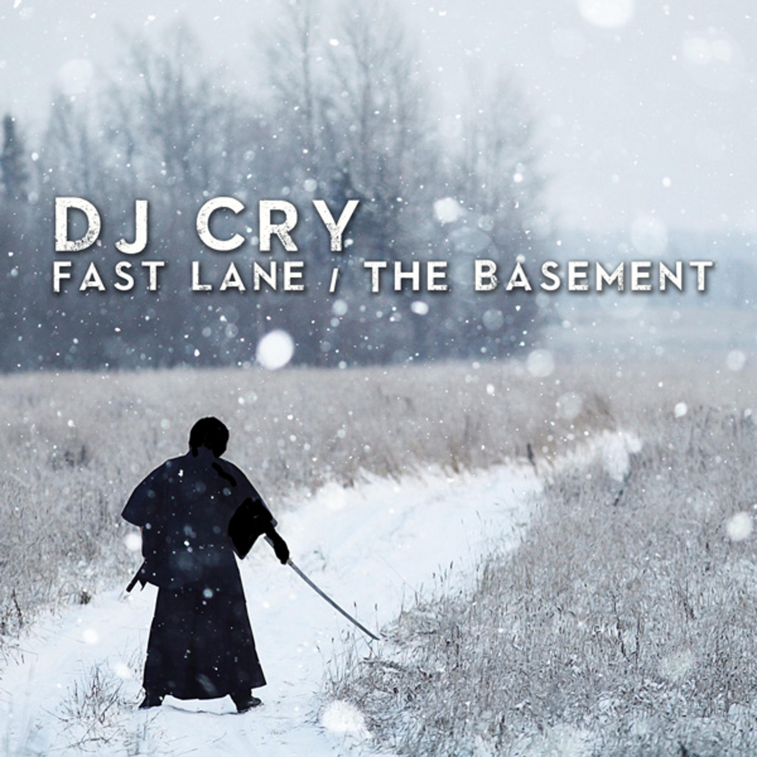 Постер альбома Fast Lane / The Basement