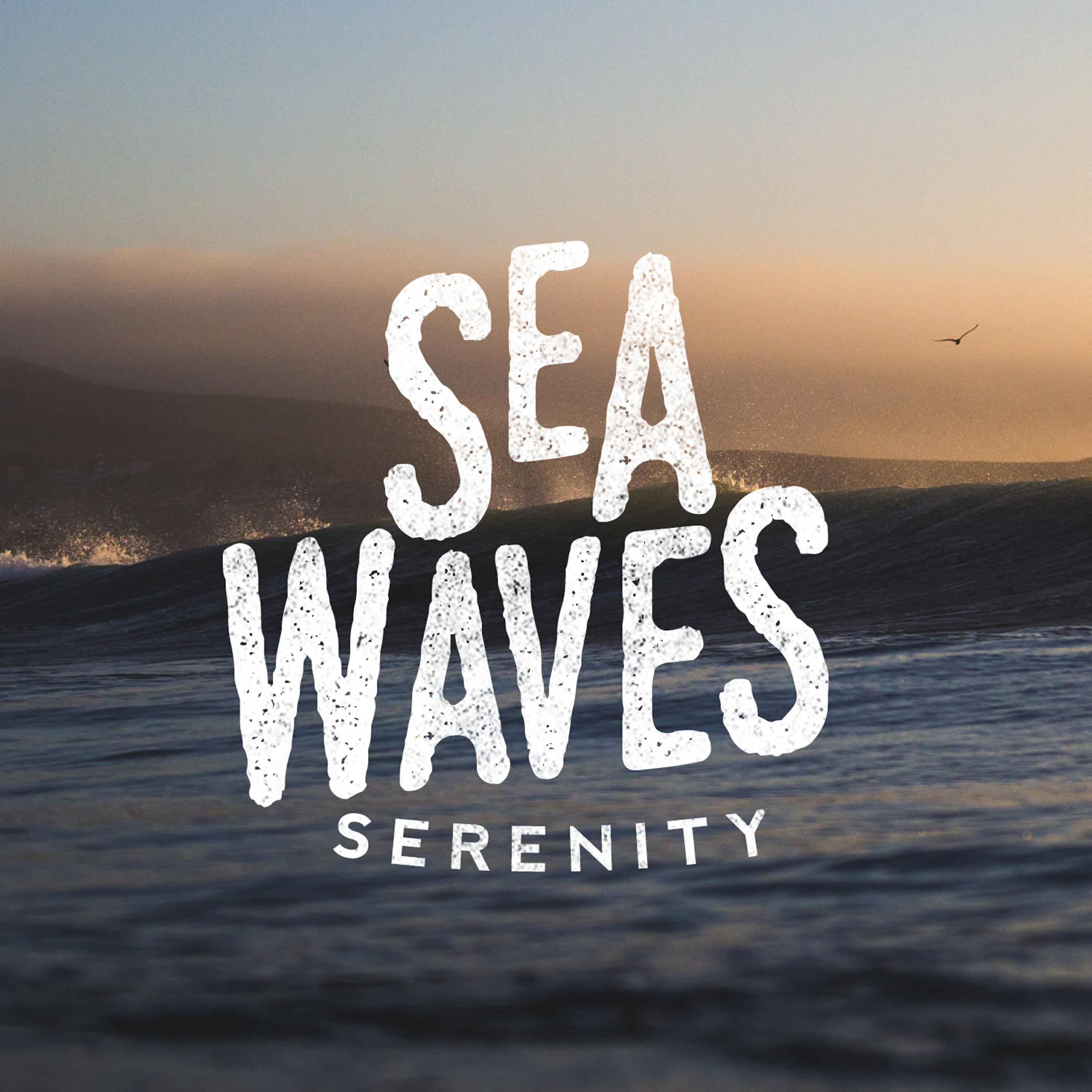 Sea Sounds 2016 - Windy Beach