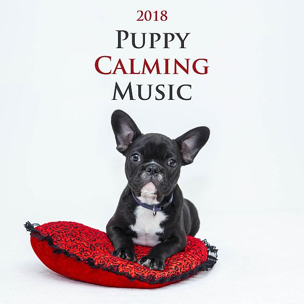 Постер альбома Puppy Calming Music 2018 - World's Most Relaxing Music