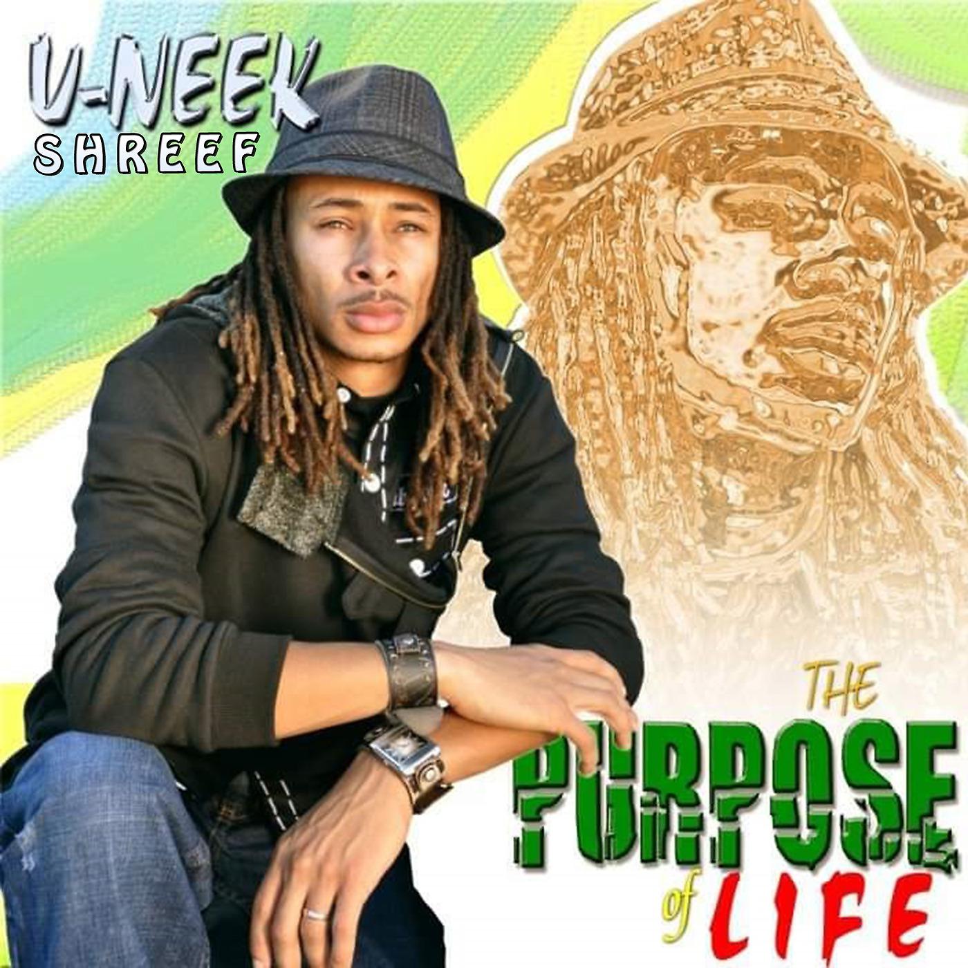 Постер альбома The Purpose of Life