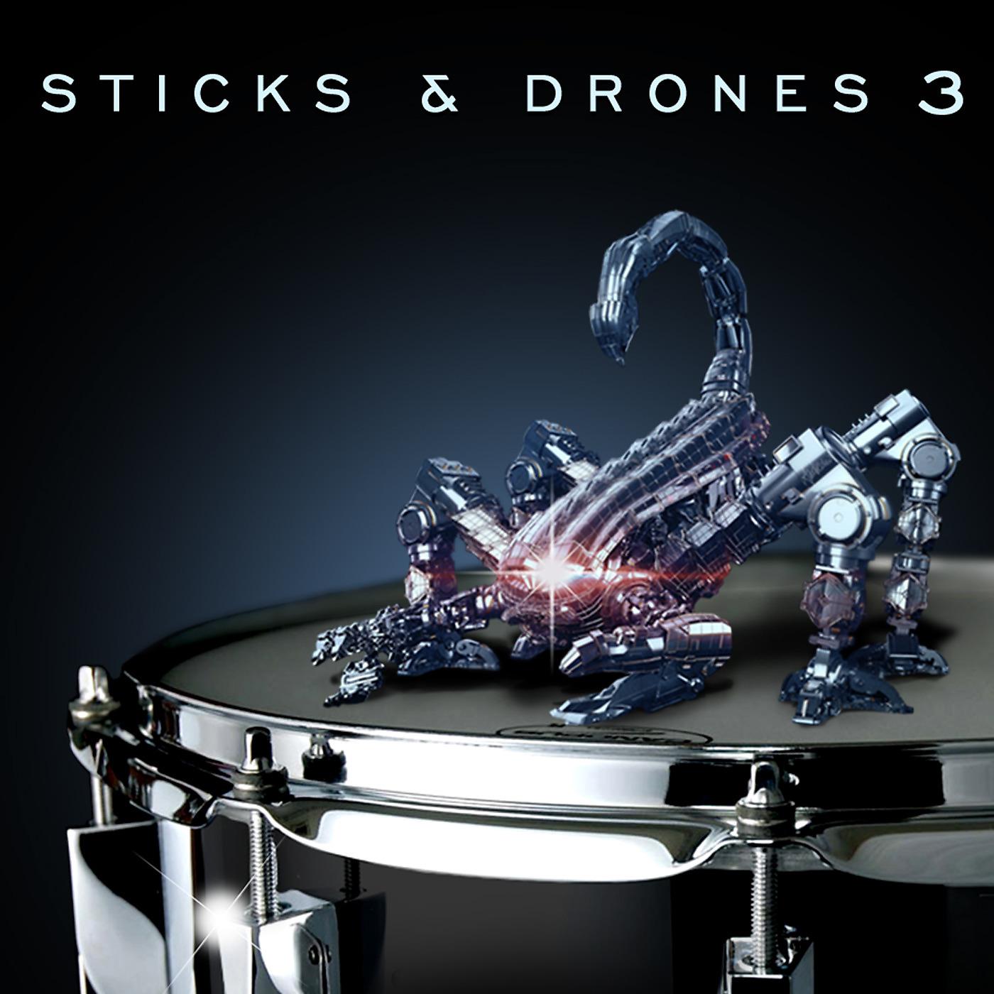 Постер альбома Sticks & Drones 3
