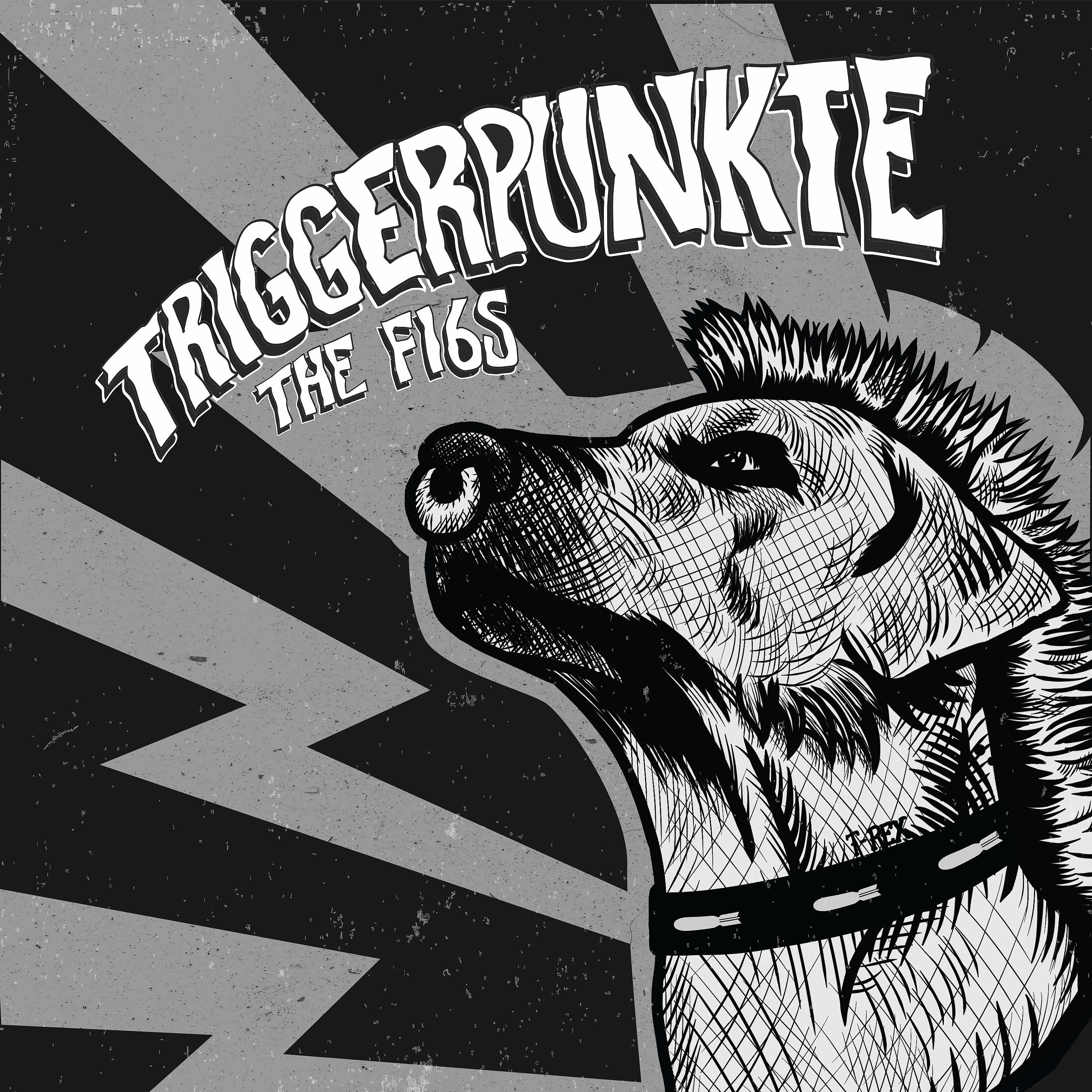 Постер альбома Triggerpunkte