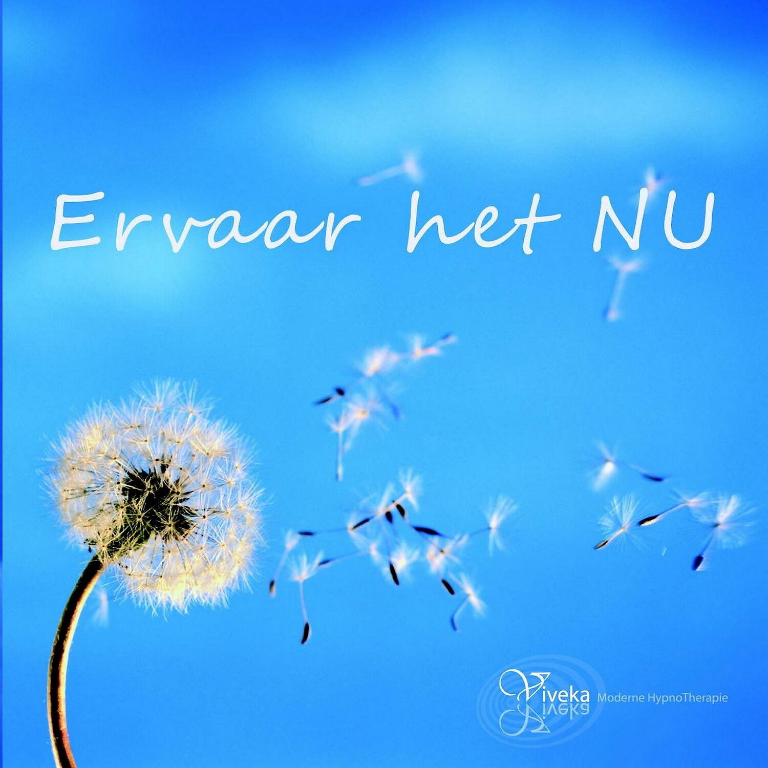 Vibeke Evenhuis - Ervaar Het Nu, Pt. 1 (Oefening)
