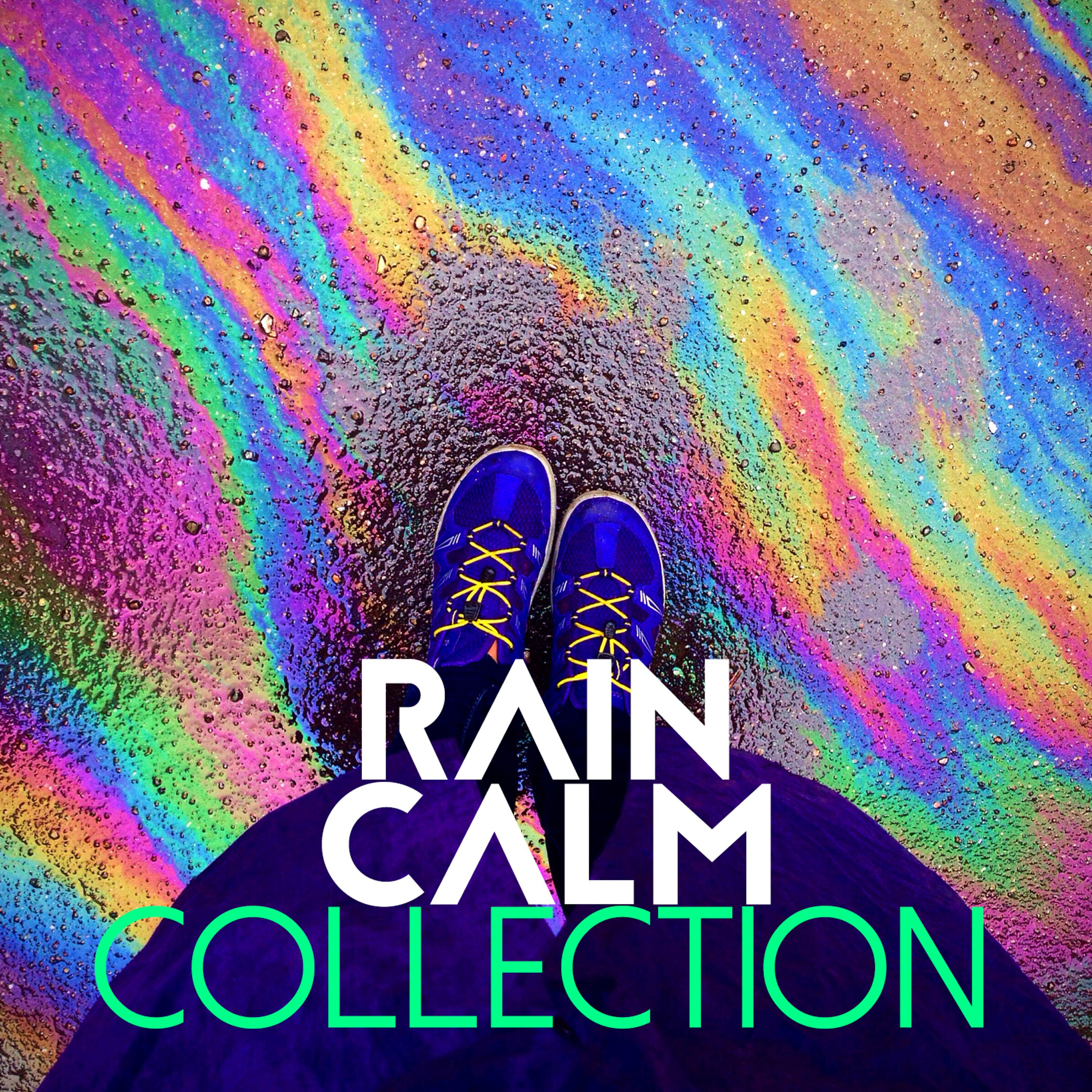 Постер альбома Rain Calm Collection
