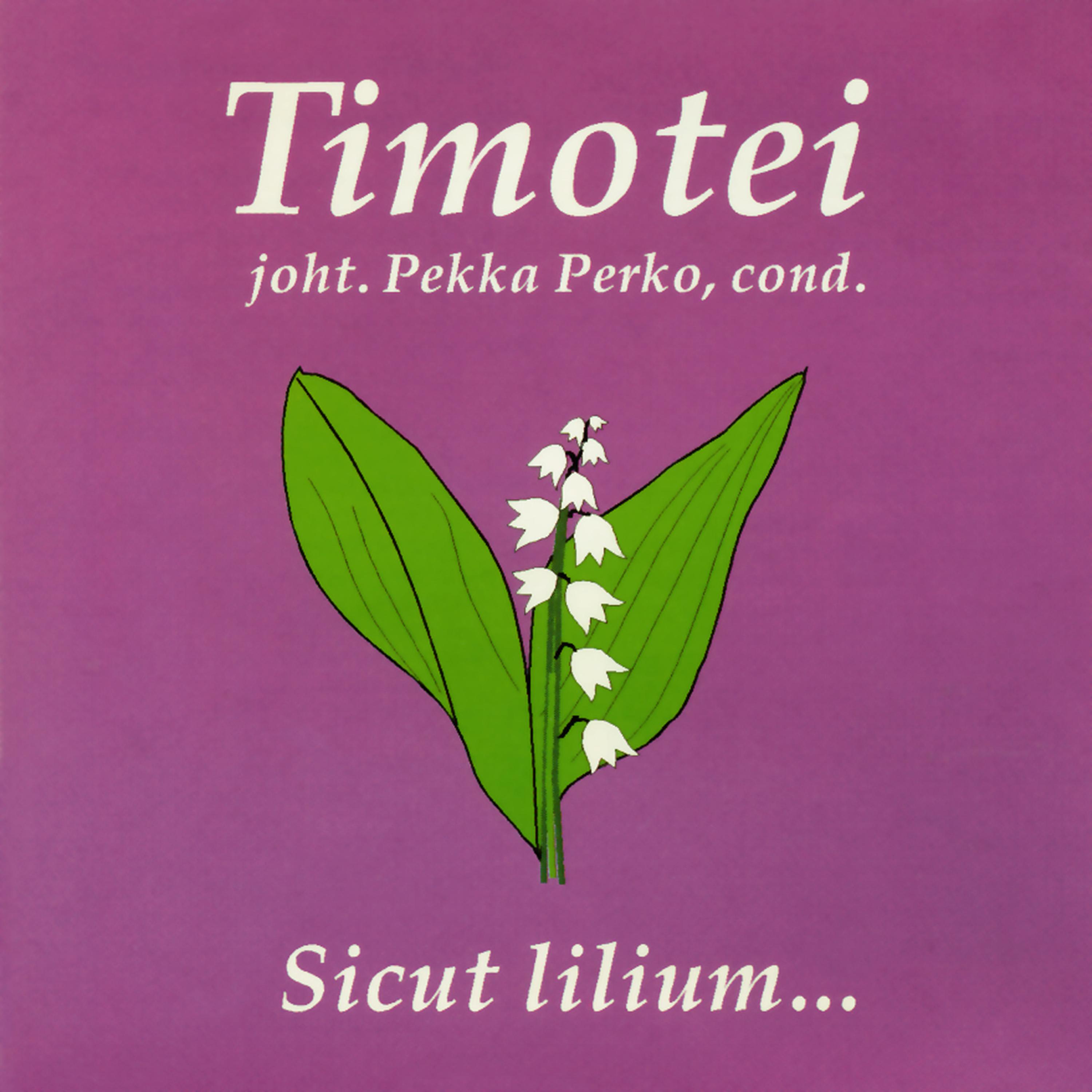 Постер альбома Sicut Lilium