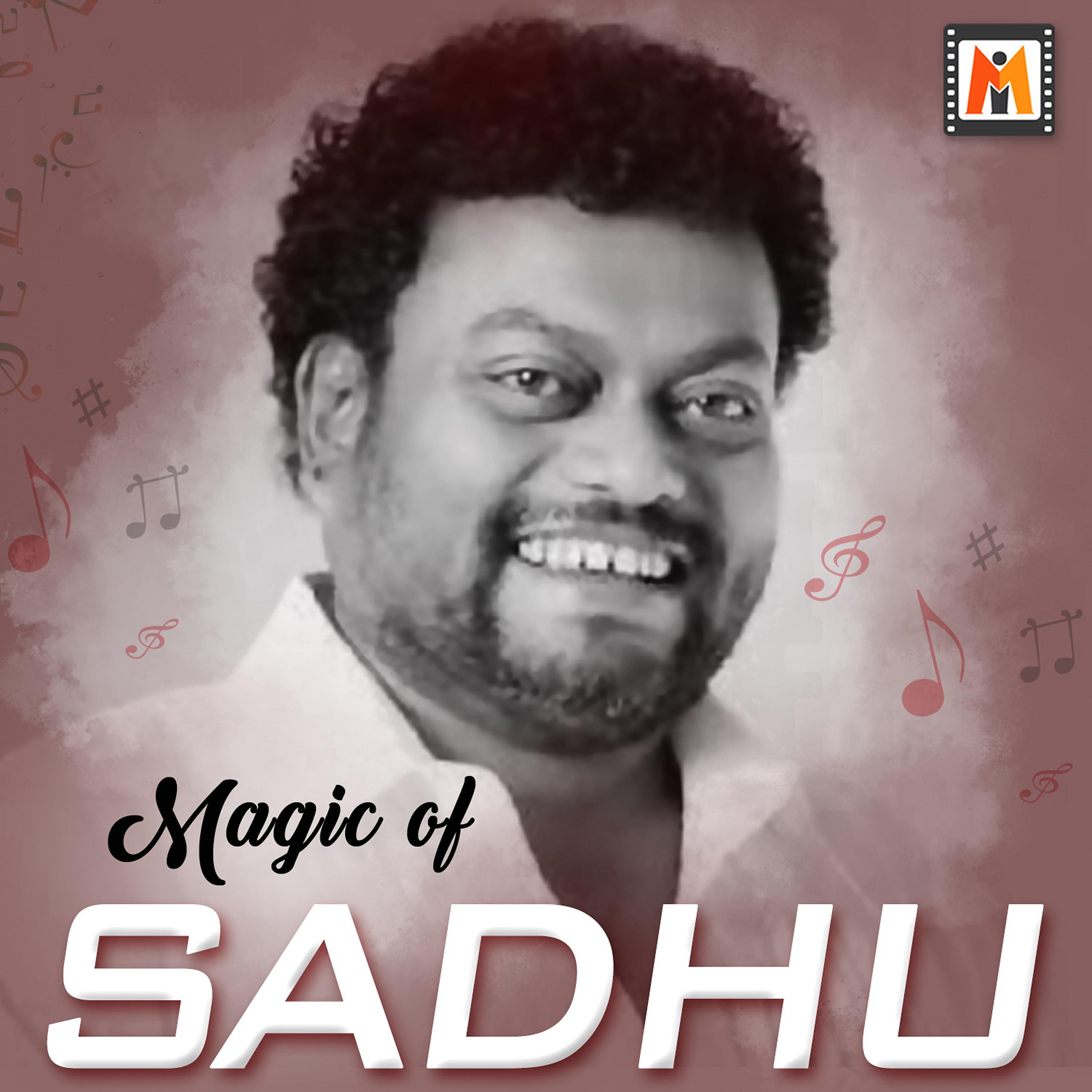 Постер альбома Magic of Sadhu