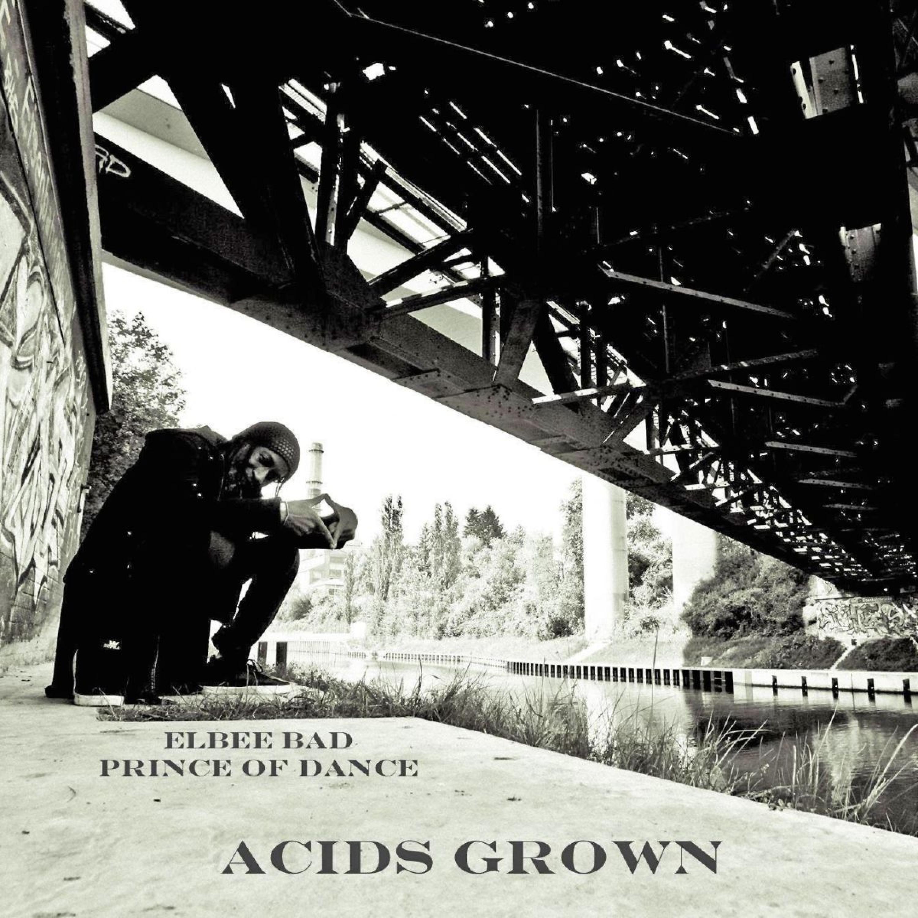 Постер альбома Acids Grown