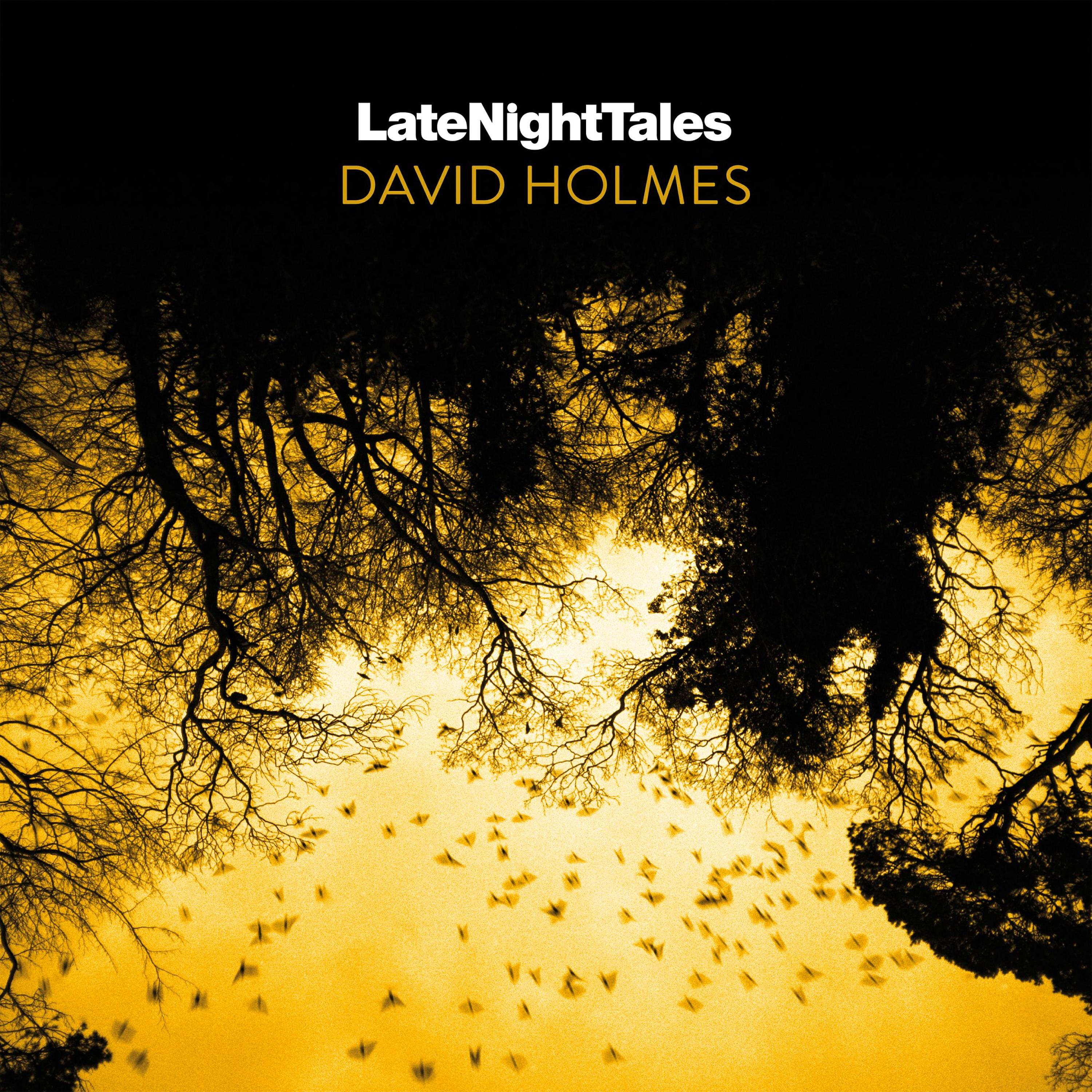 David Holmes - Late Night Tales: David Holmes (God's Waiting Room Continuous Mix)