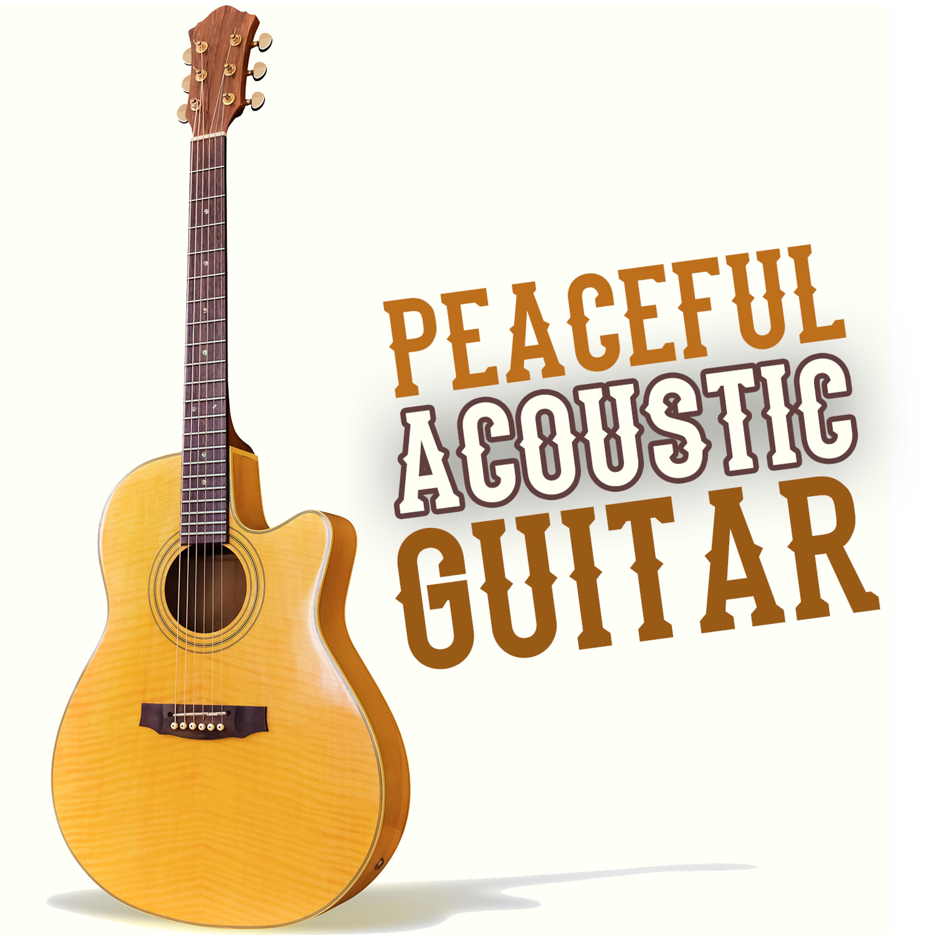 Постер альбома Peaceful Acoustic Guitar
