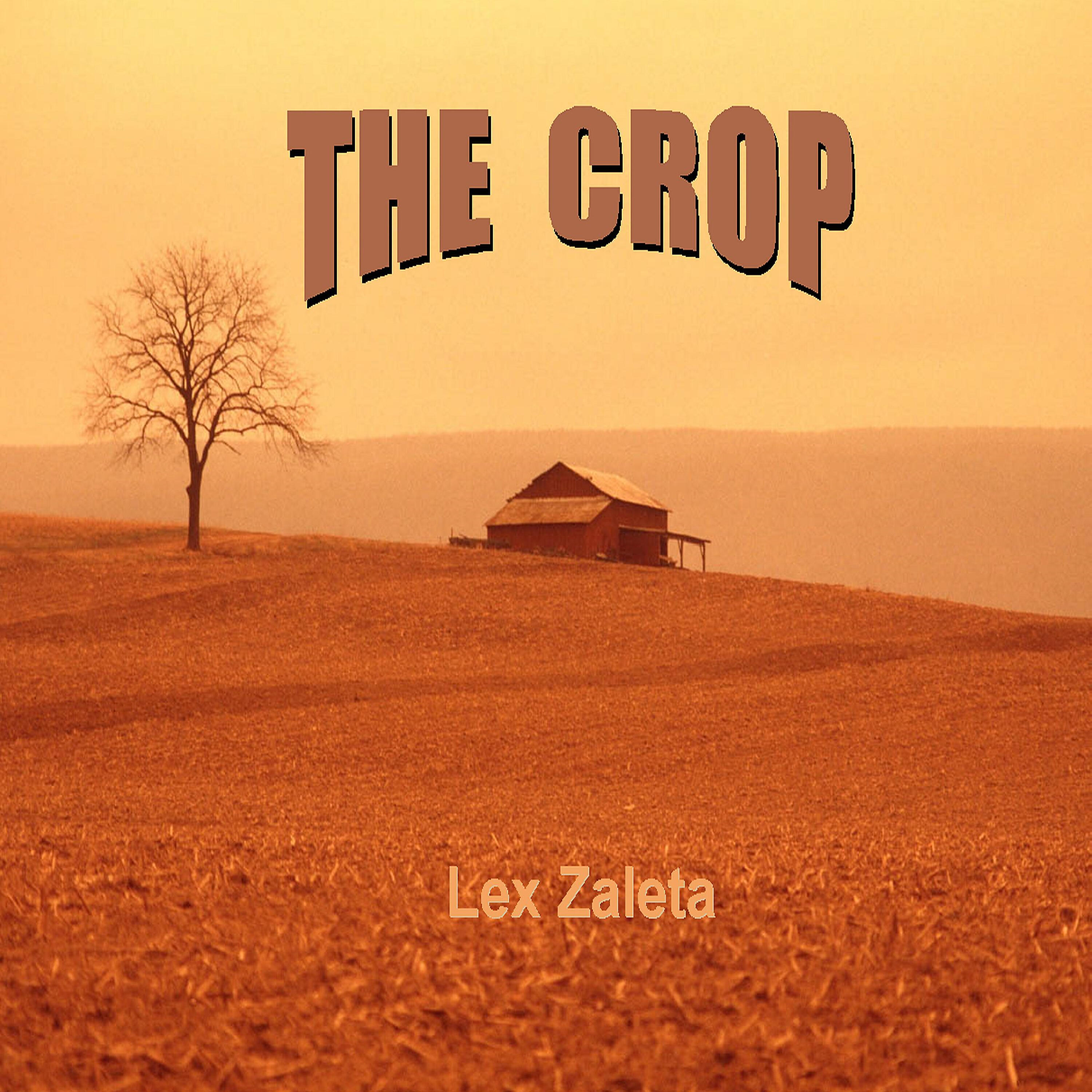 Lex Zaleta - Now You See Her, Now I Don't