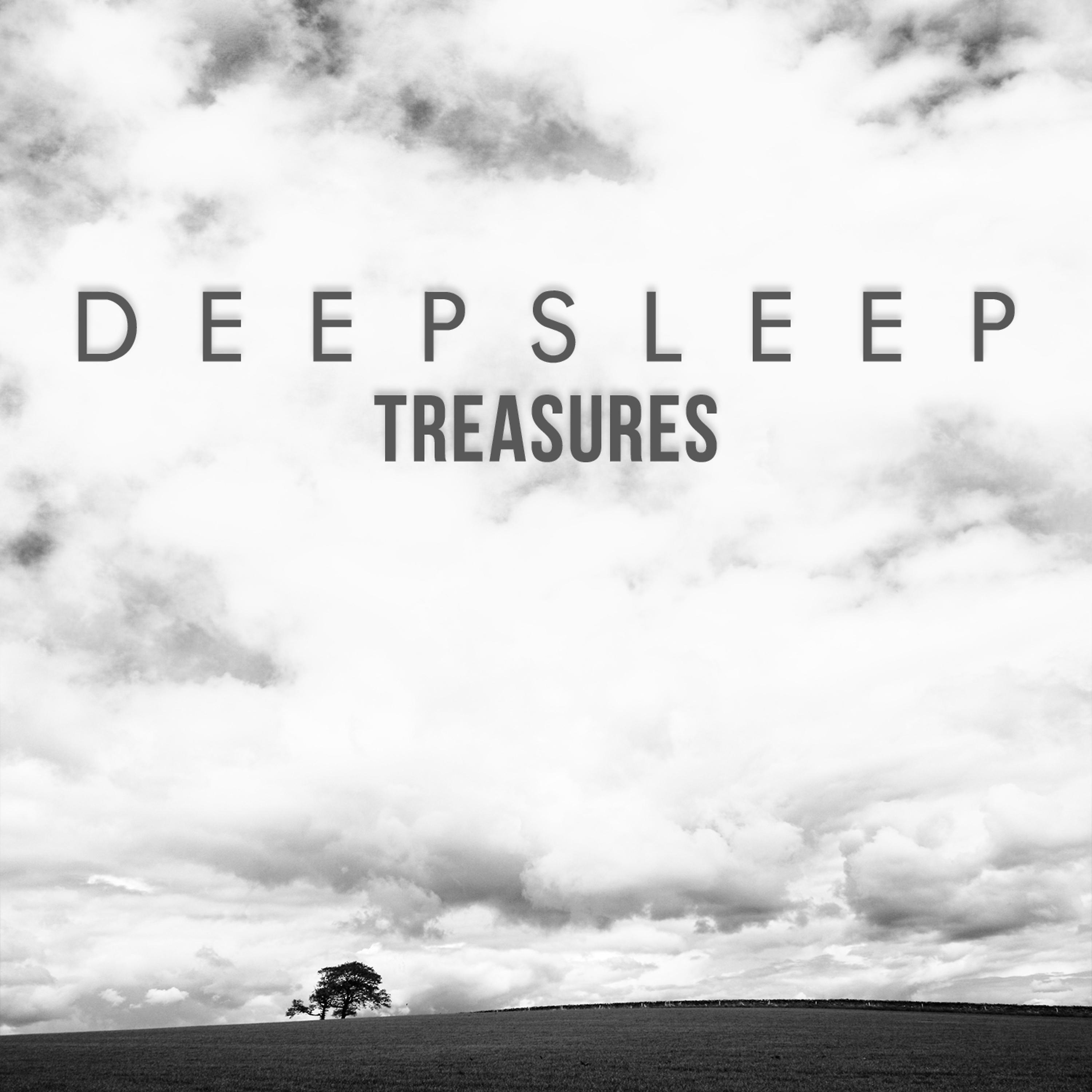Постер альбома Deep Sleep Treasures