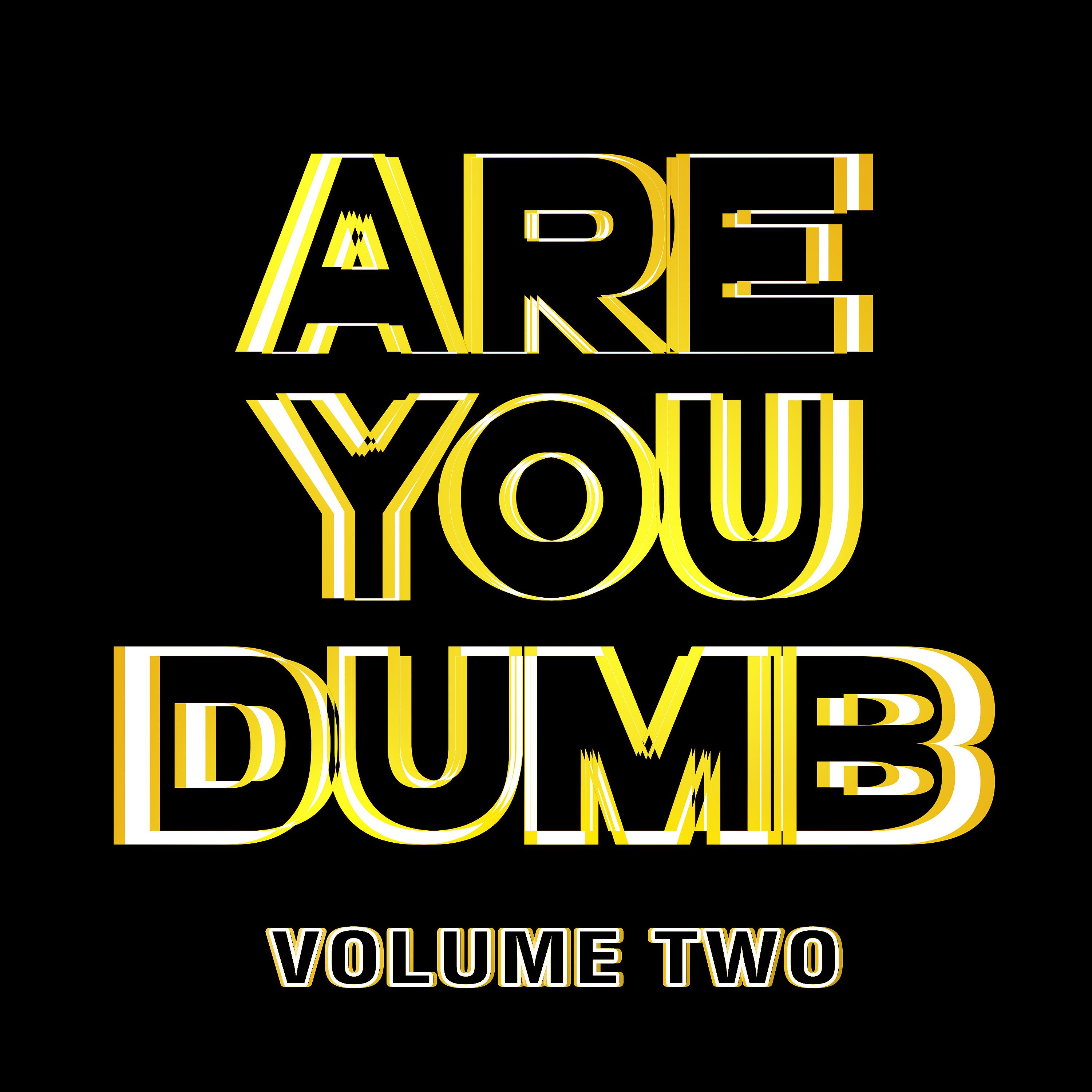 Постер альбома Are You Dumb? Vol. 2
