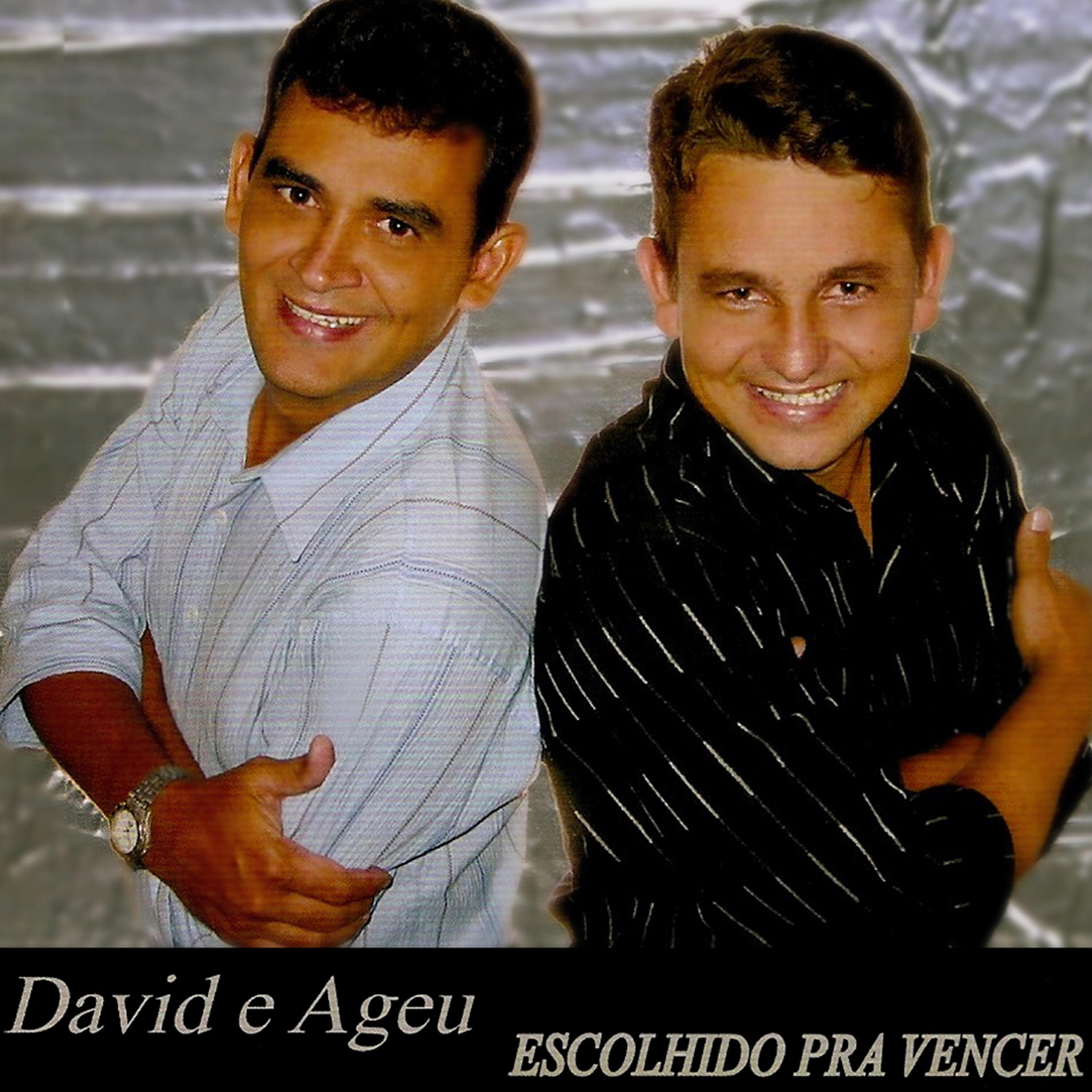 DAVID - Vaso Perfeito