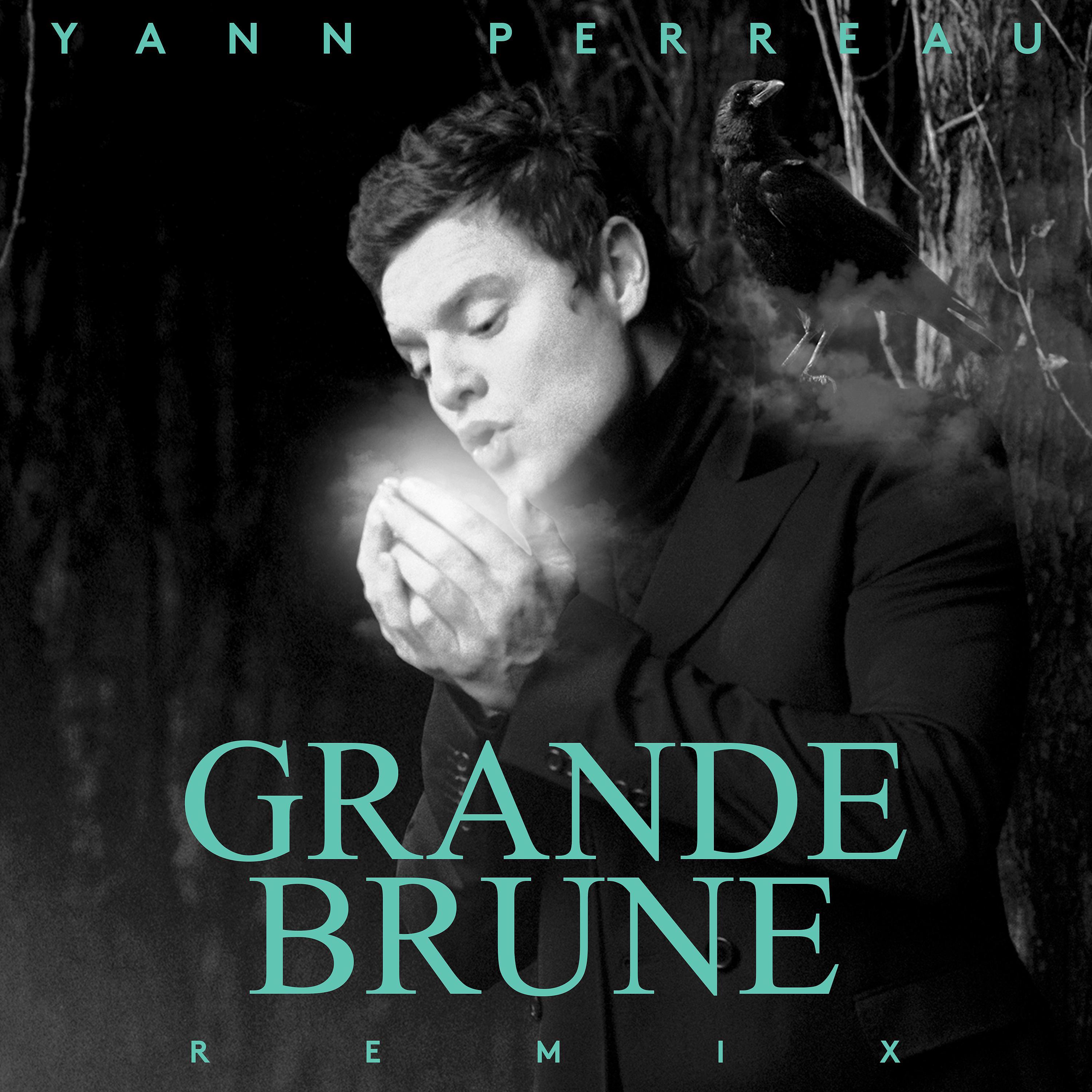 Постер альбома Grande brune (remix)