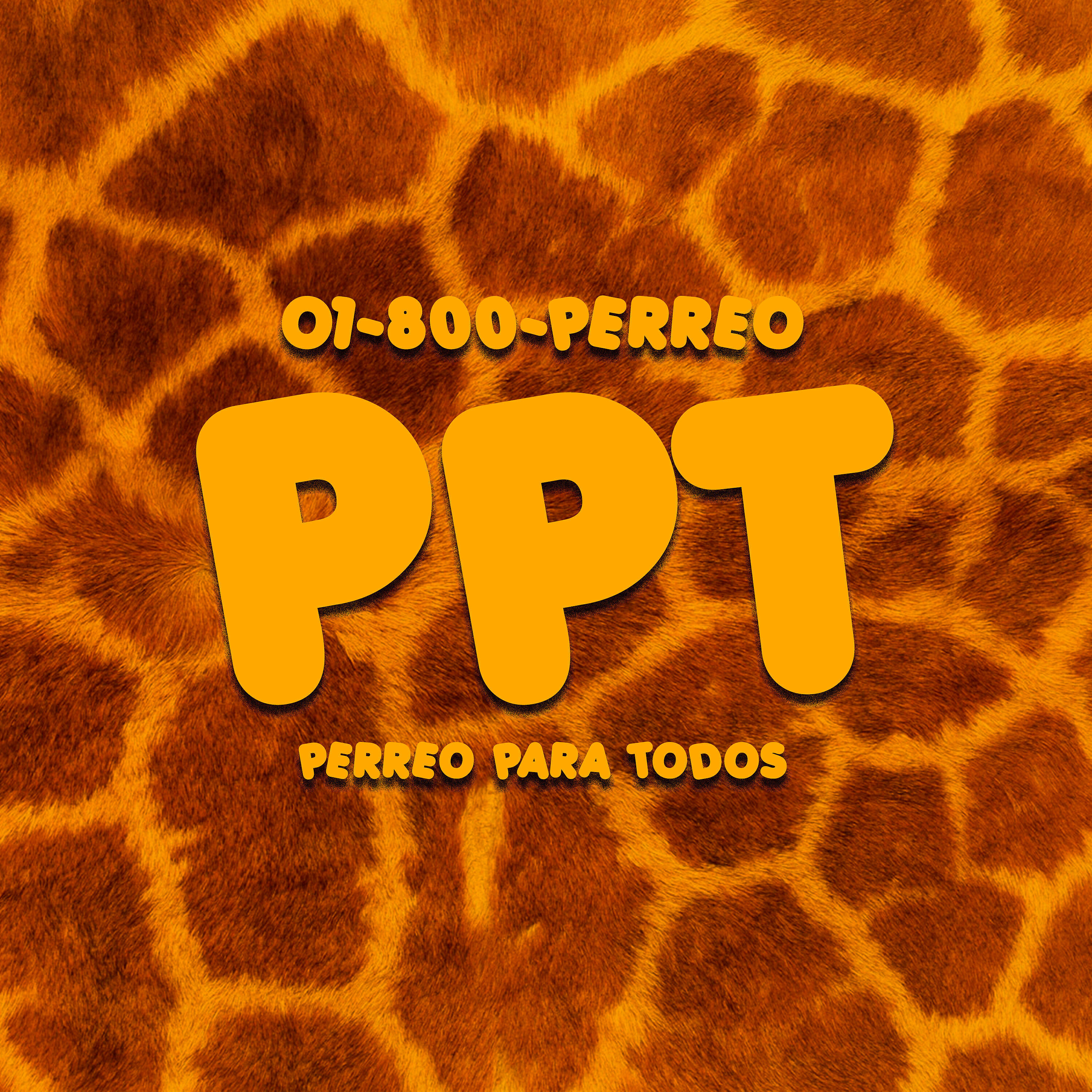 01-800-PERREO - P.P.T