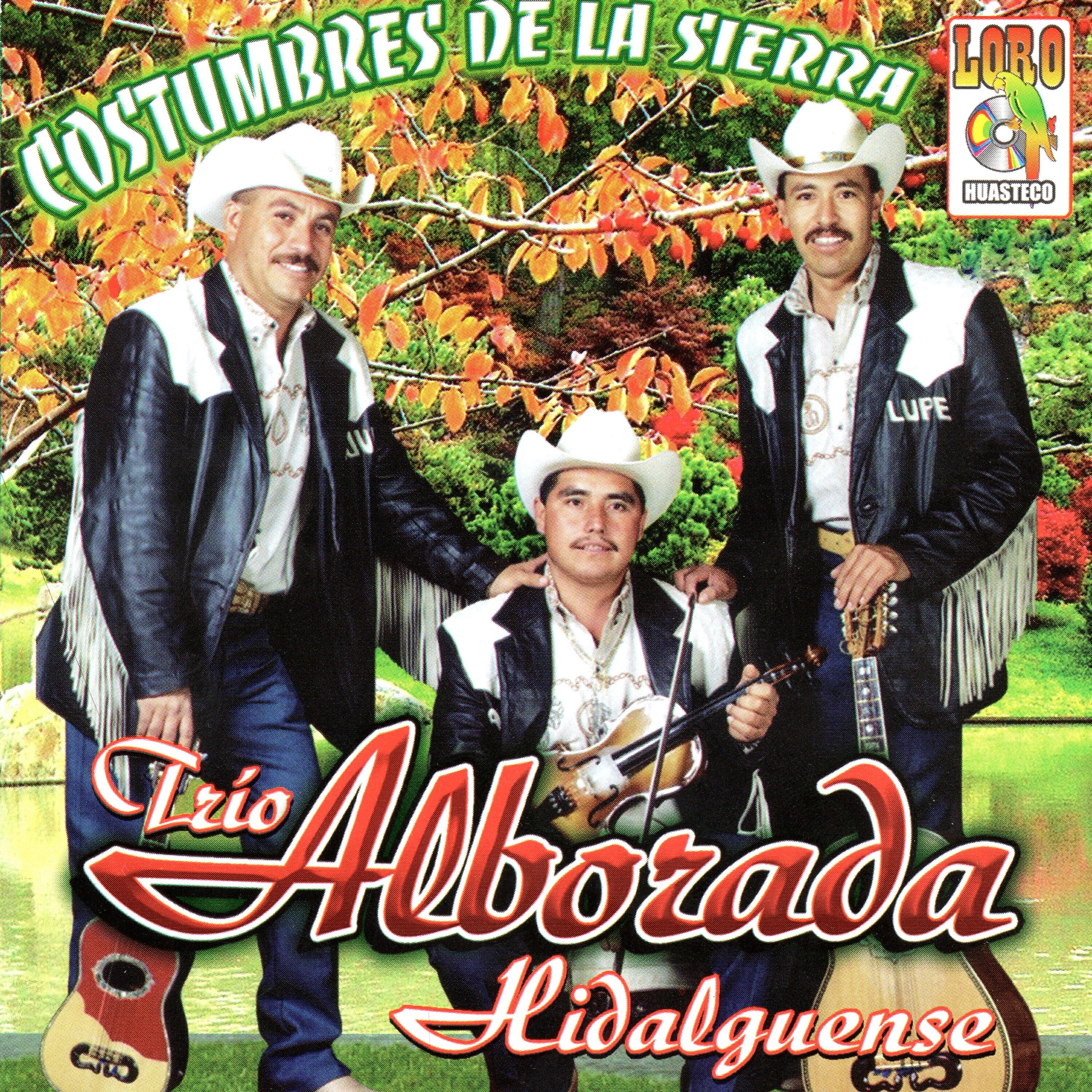 Trio Alborada Hidalguense - Los Tres Encajuelados
