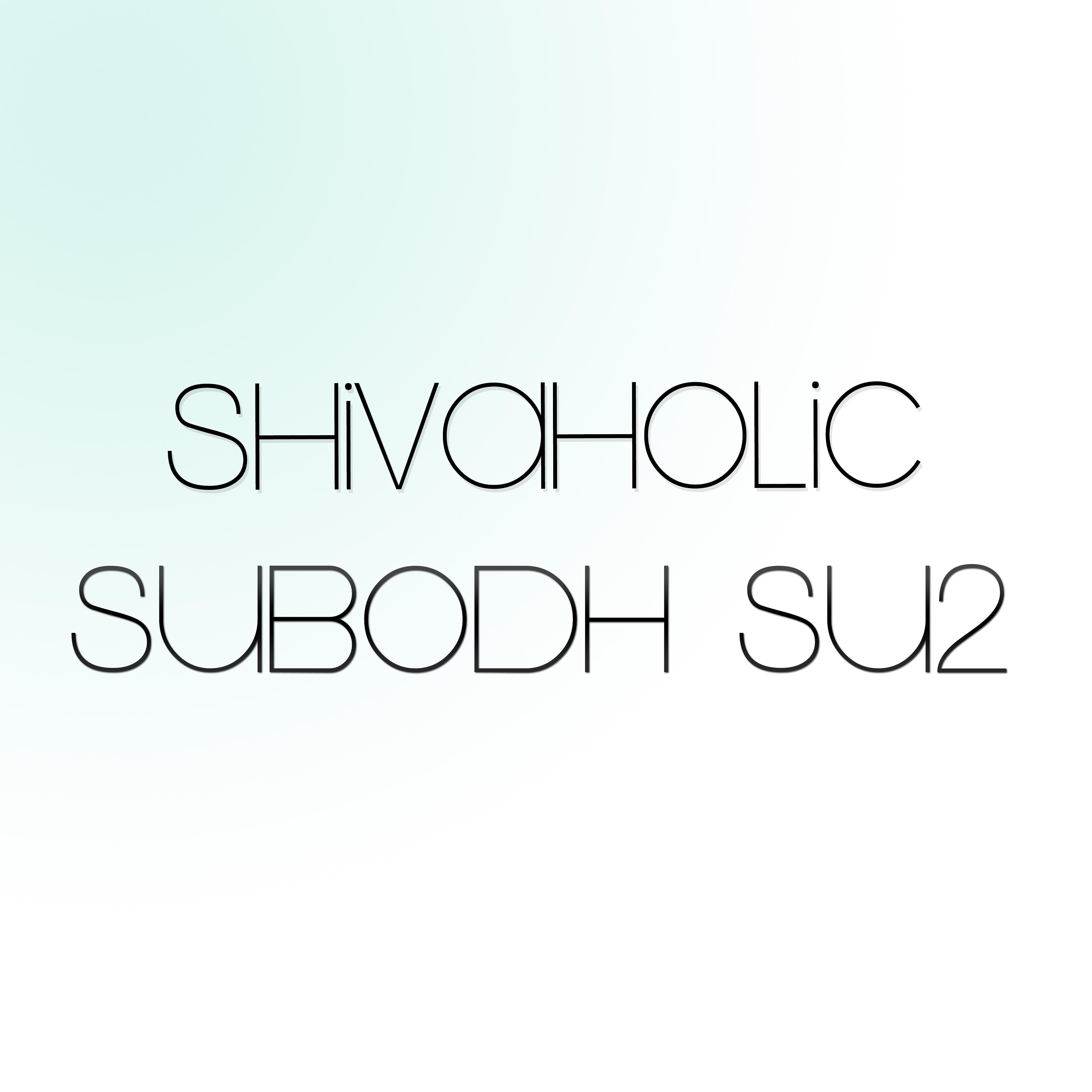 Постер альбома Shivaholic