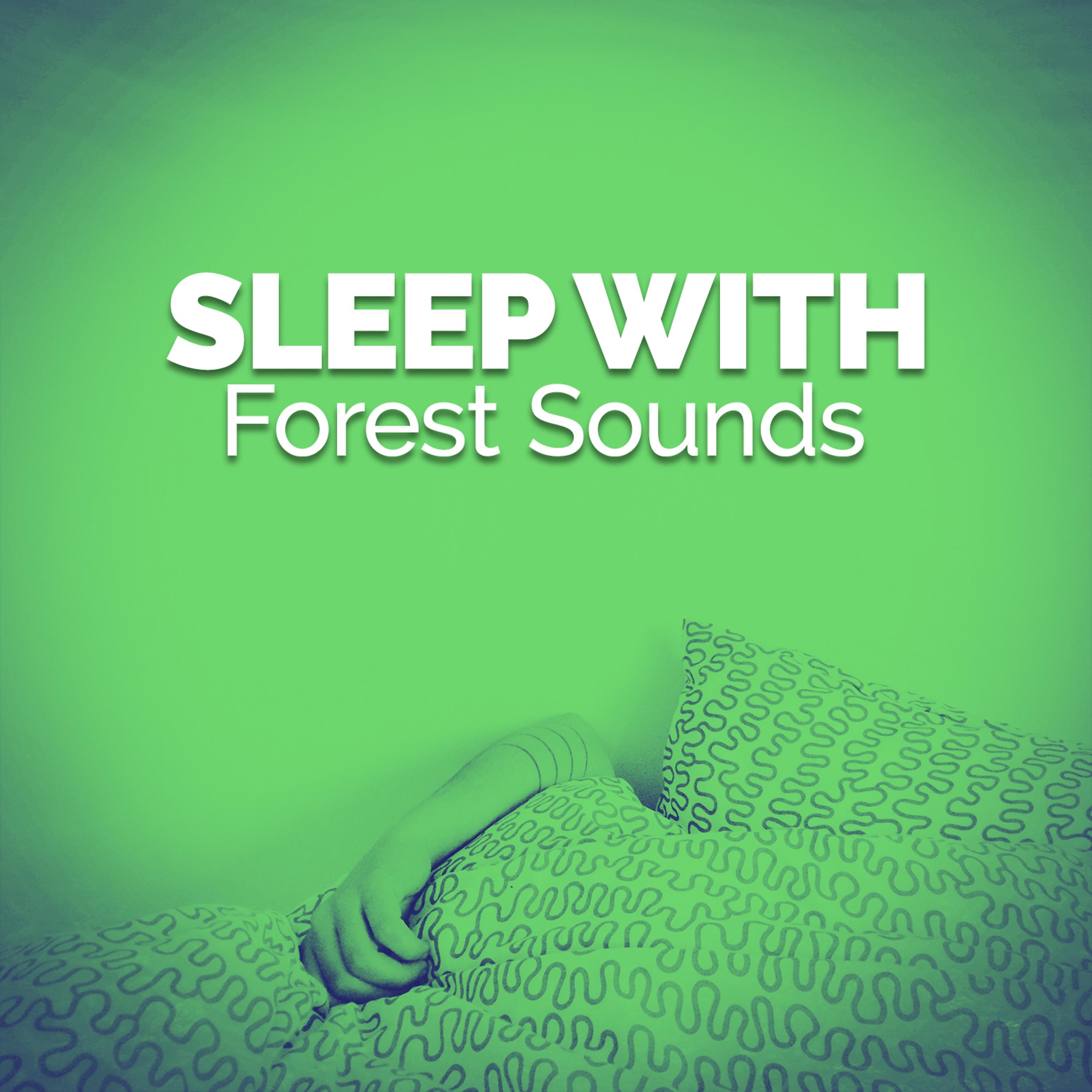 Постер альбома Sleep with Forest Sounds