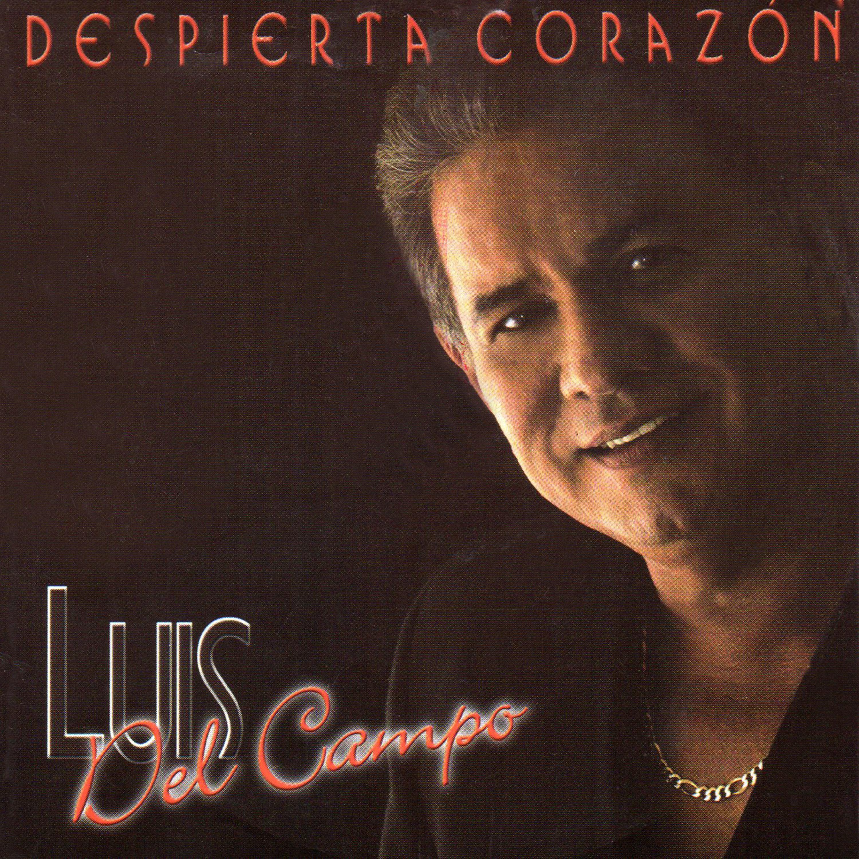 Постер альбома Despierta Corazón