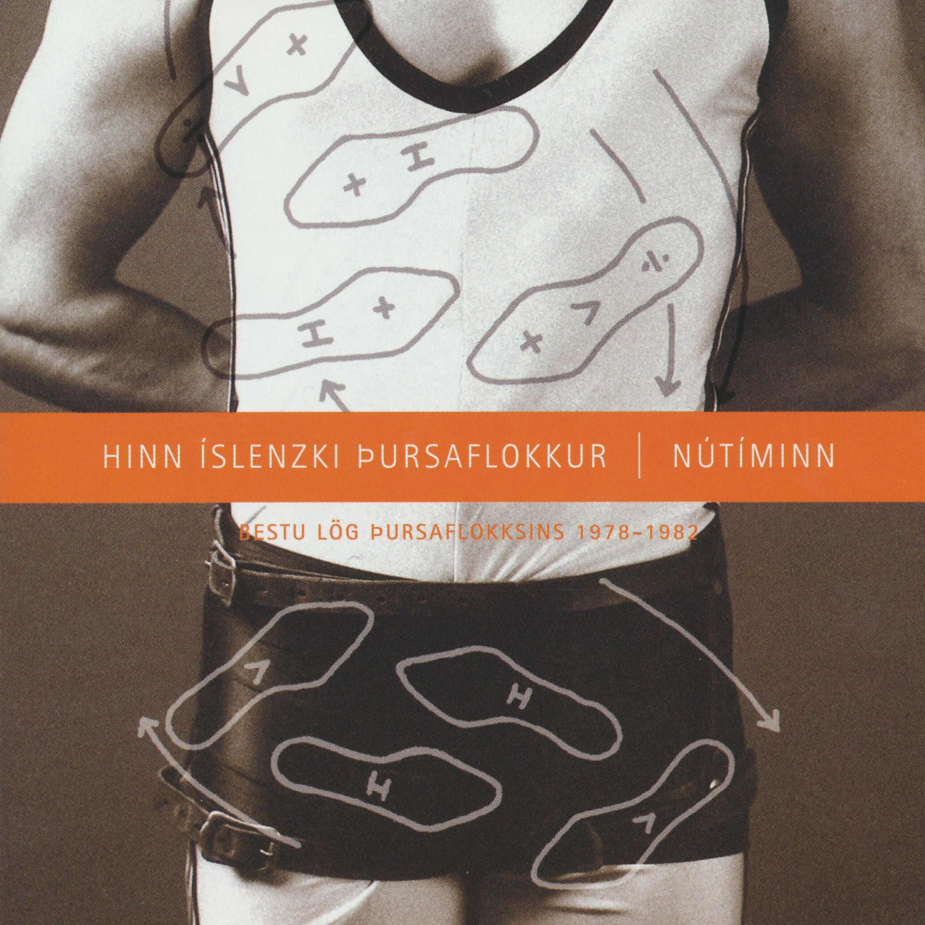 Постер альбома Nútíminn