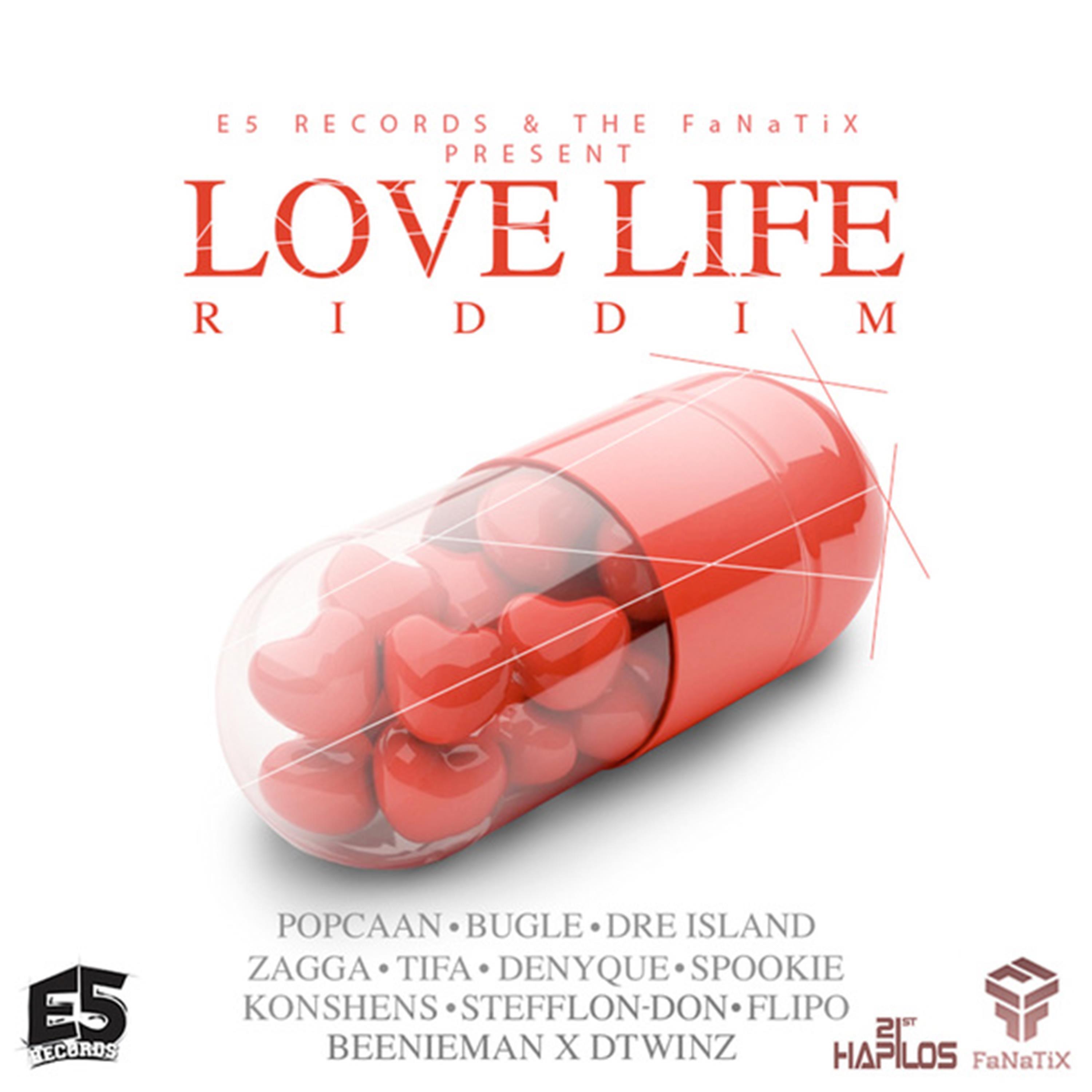 Постер альбома Love Life Riddim