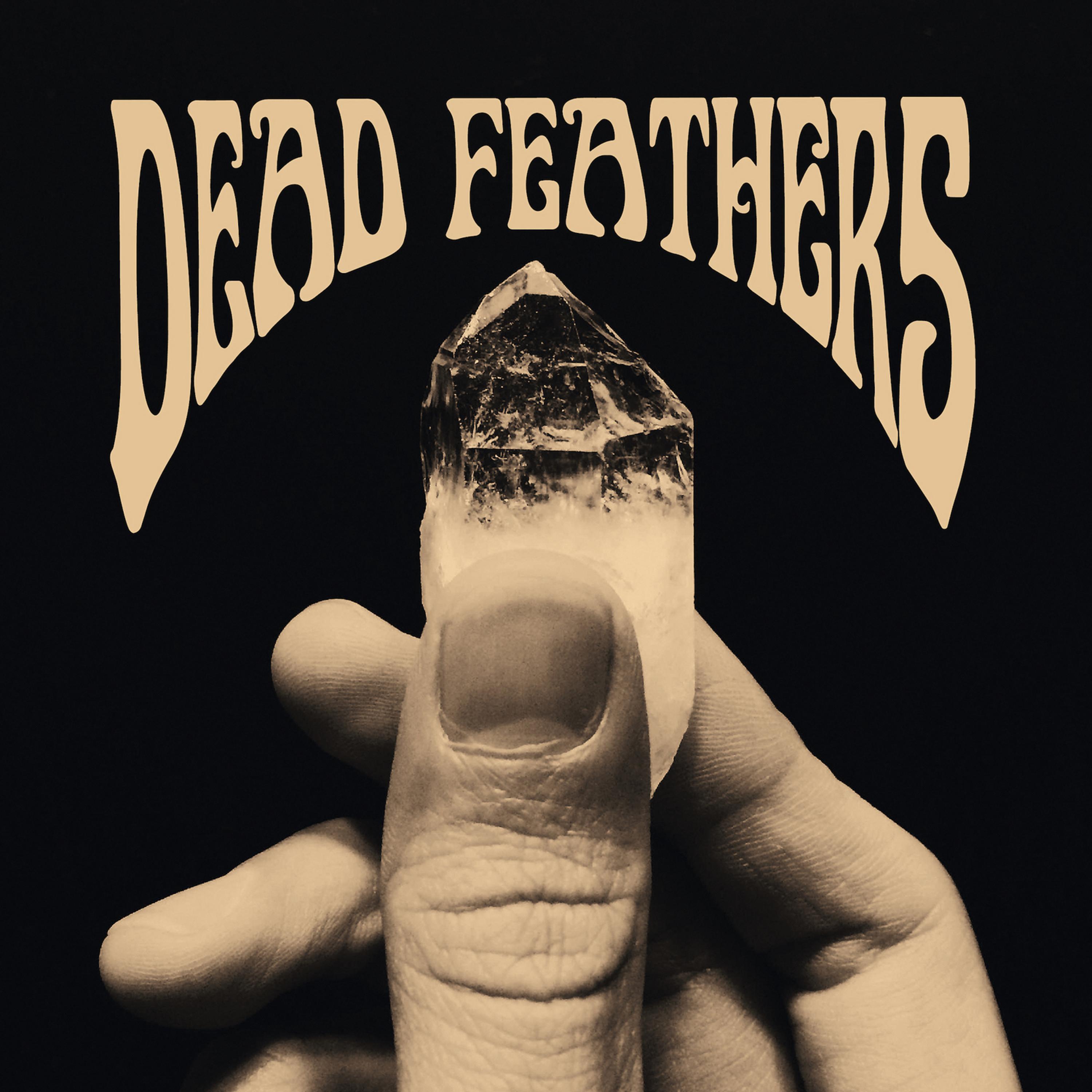 Постер альбома Dead Feathers