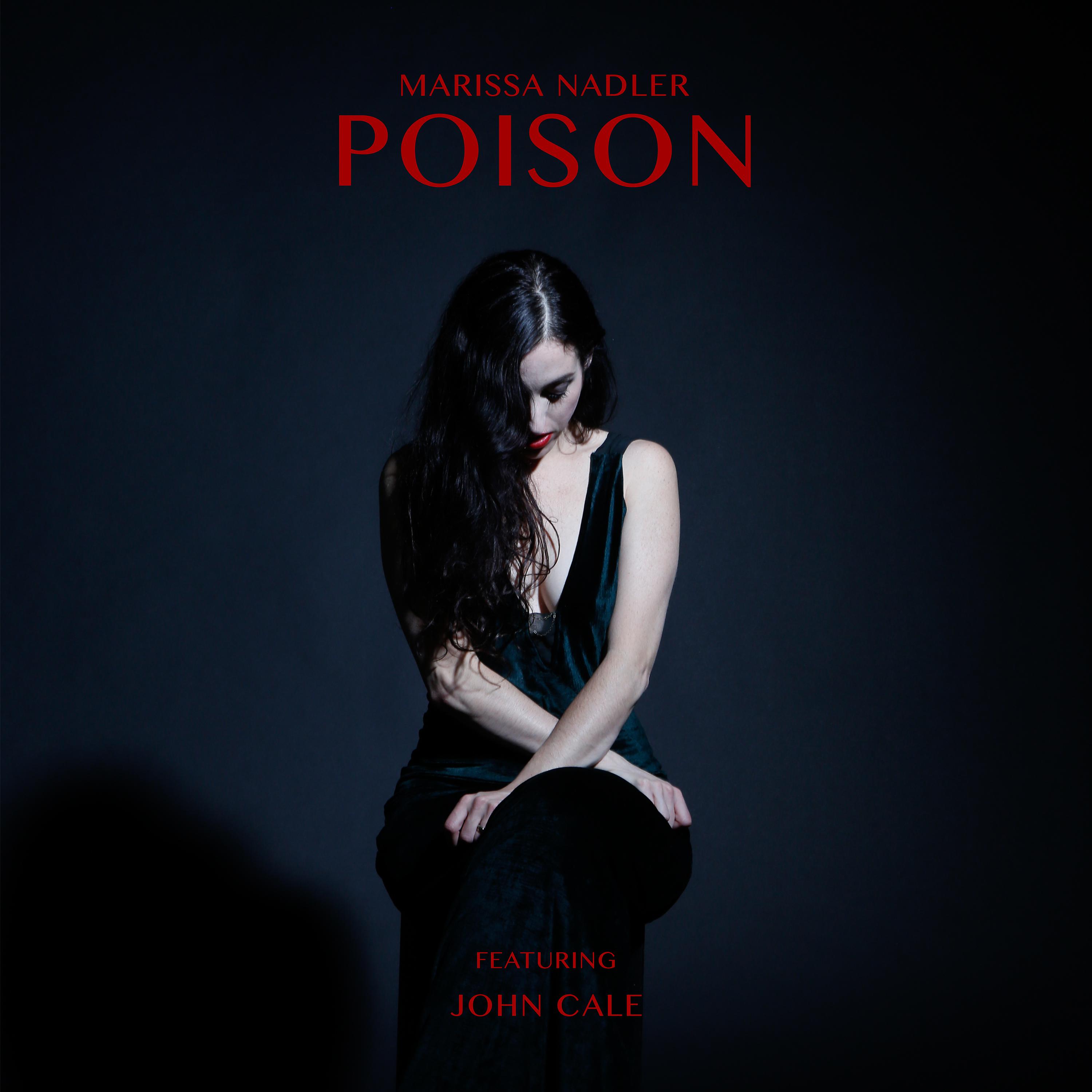 Постер альбома Poison / If We Make It Through the Summer